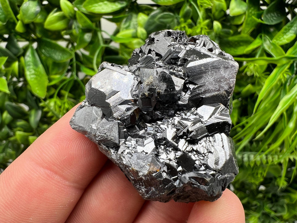 Sphalerite with Chlorite: Borieva Mine, Bulgaria