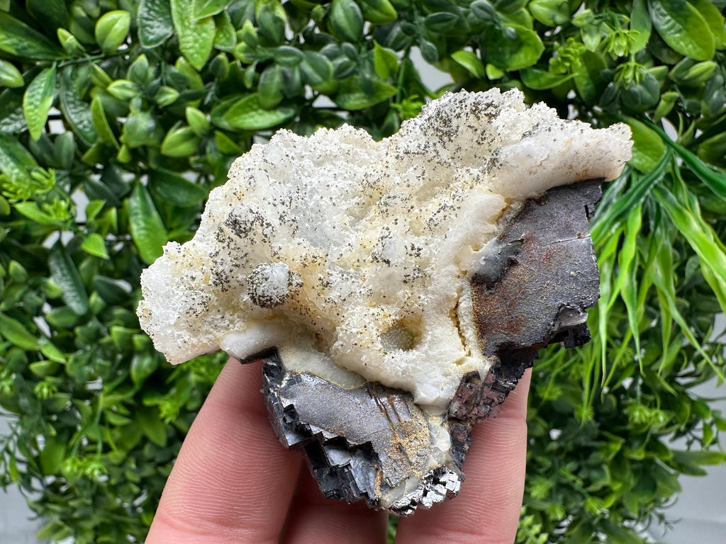 Galena Marcasite on Chalcedony: Androvo Mine Bulgaria Crystal