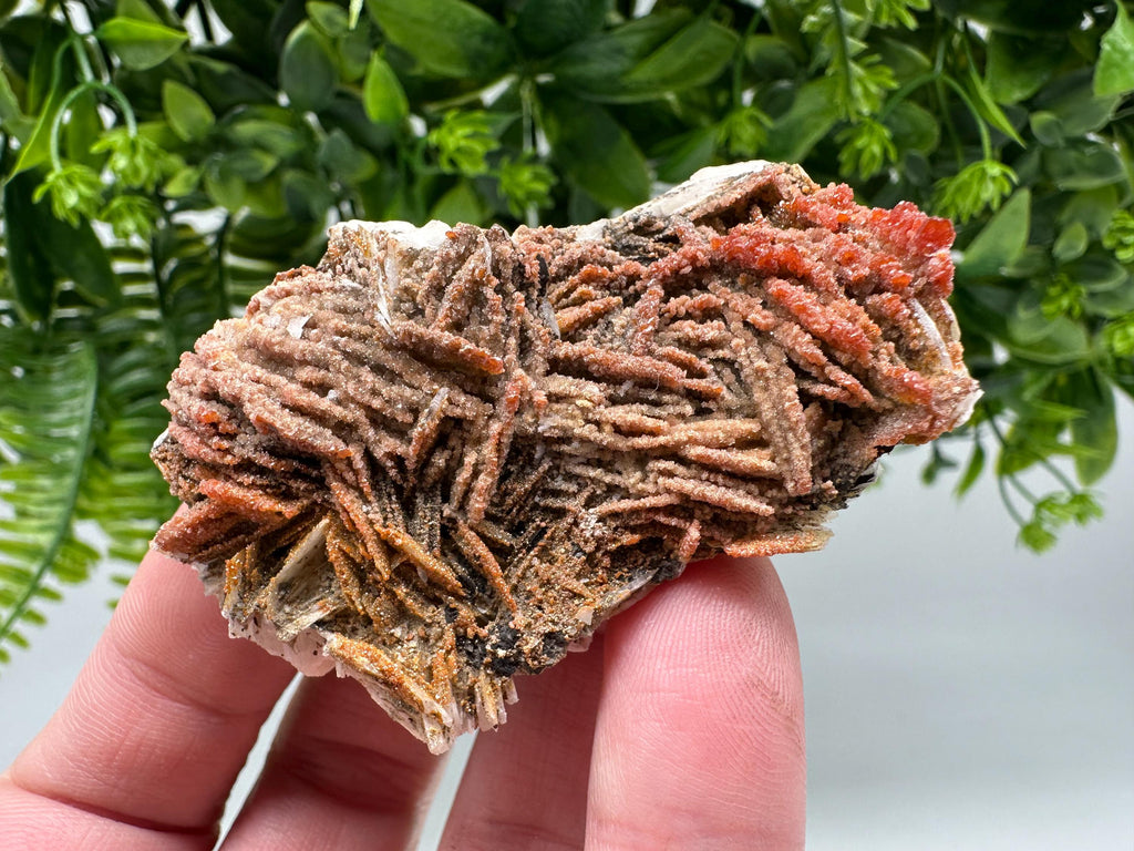Red Vanadinite on Barite from Marocco,crystal minerals Speciment cluster Vanadinite crystal Vanadinite Geology Vanadinite cluster minerals