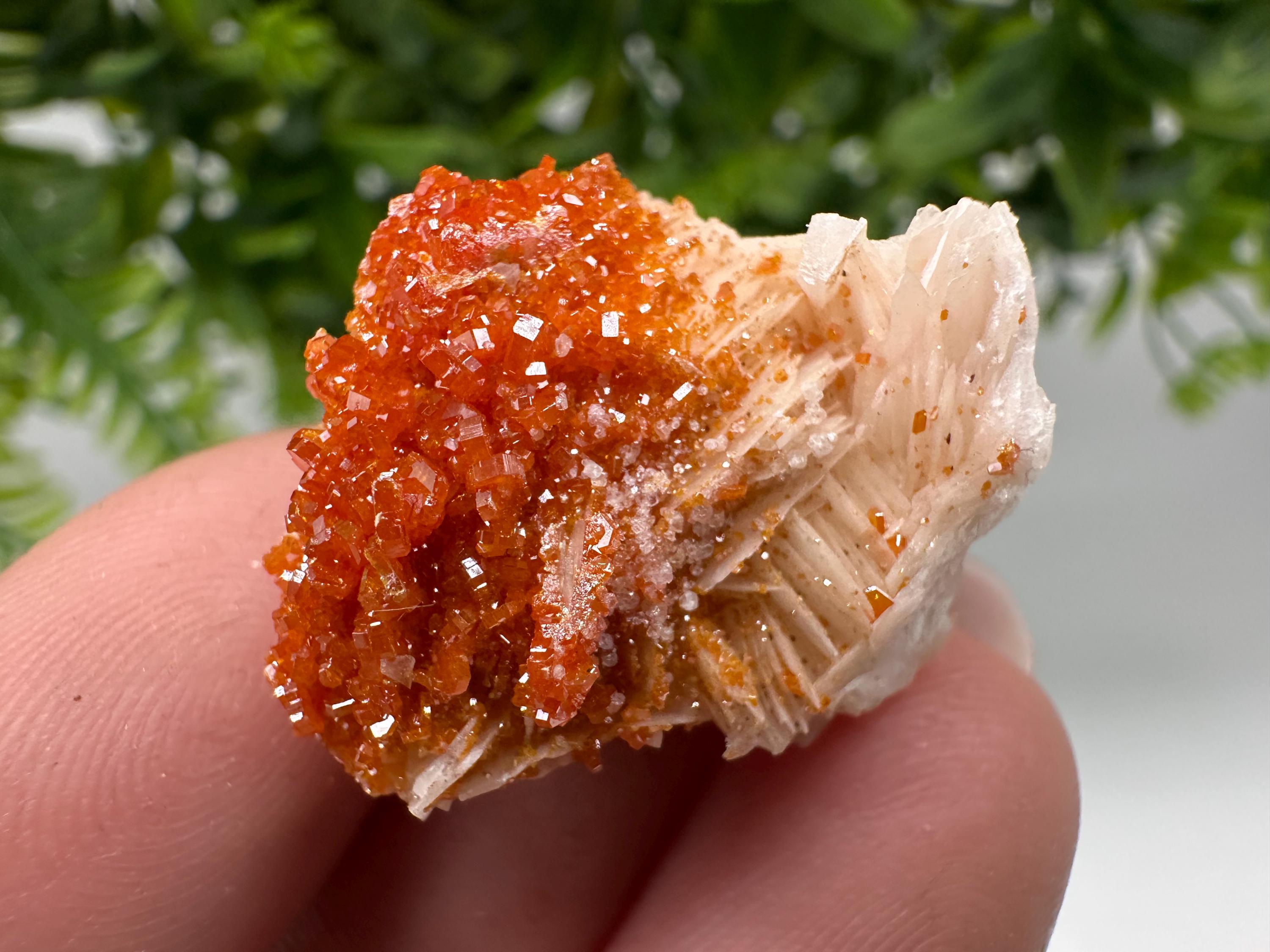 Red Vanadinite on Barite, Moroccan Crystal Specimen