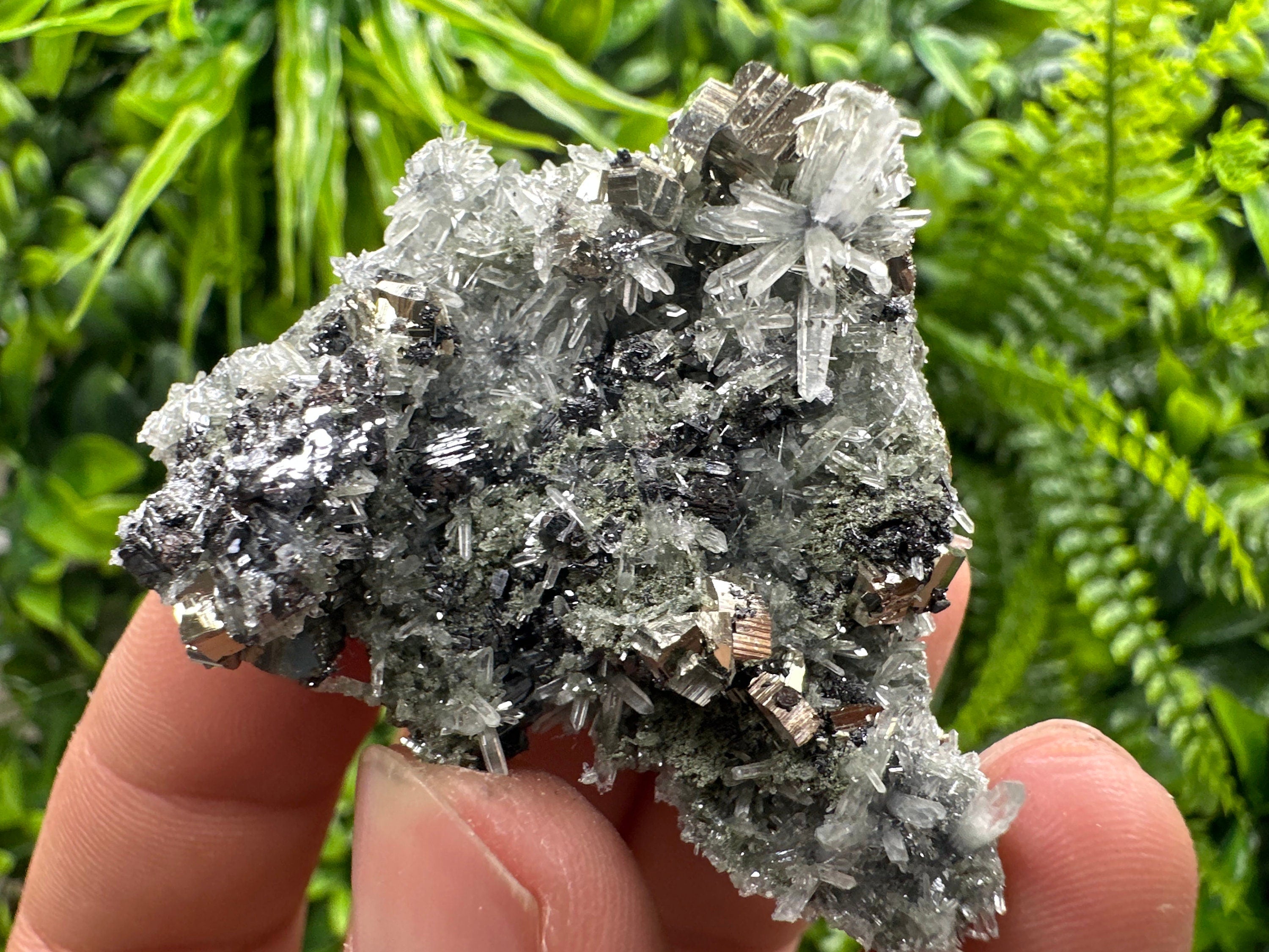 Pyrite Sphalerite Galena on Quartz: Bulgaria Borieva Mine Crystal Cluster
