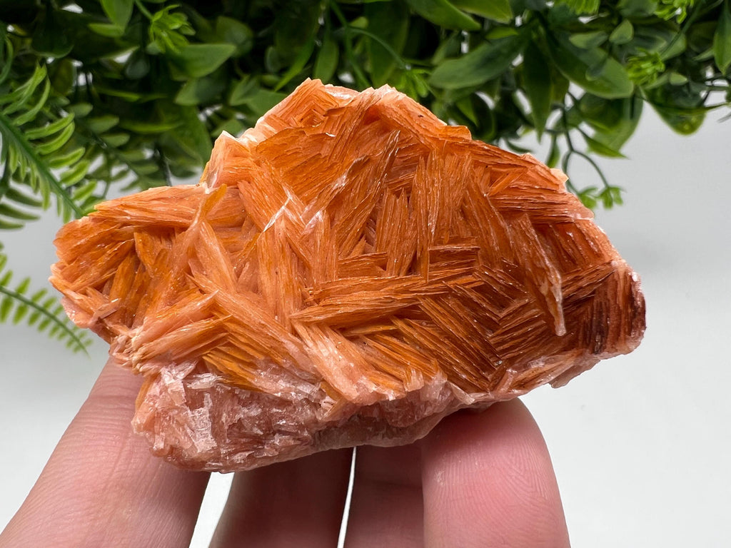 Wonderful Baryte with Cerussite on Galena from Morocco,Crystal, Mineral,Specimen,Cluster,Crystals,Barite Crystal,Cerussite Crystal,Specimen