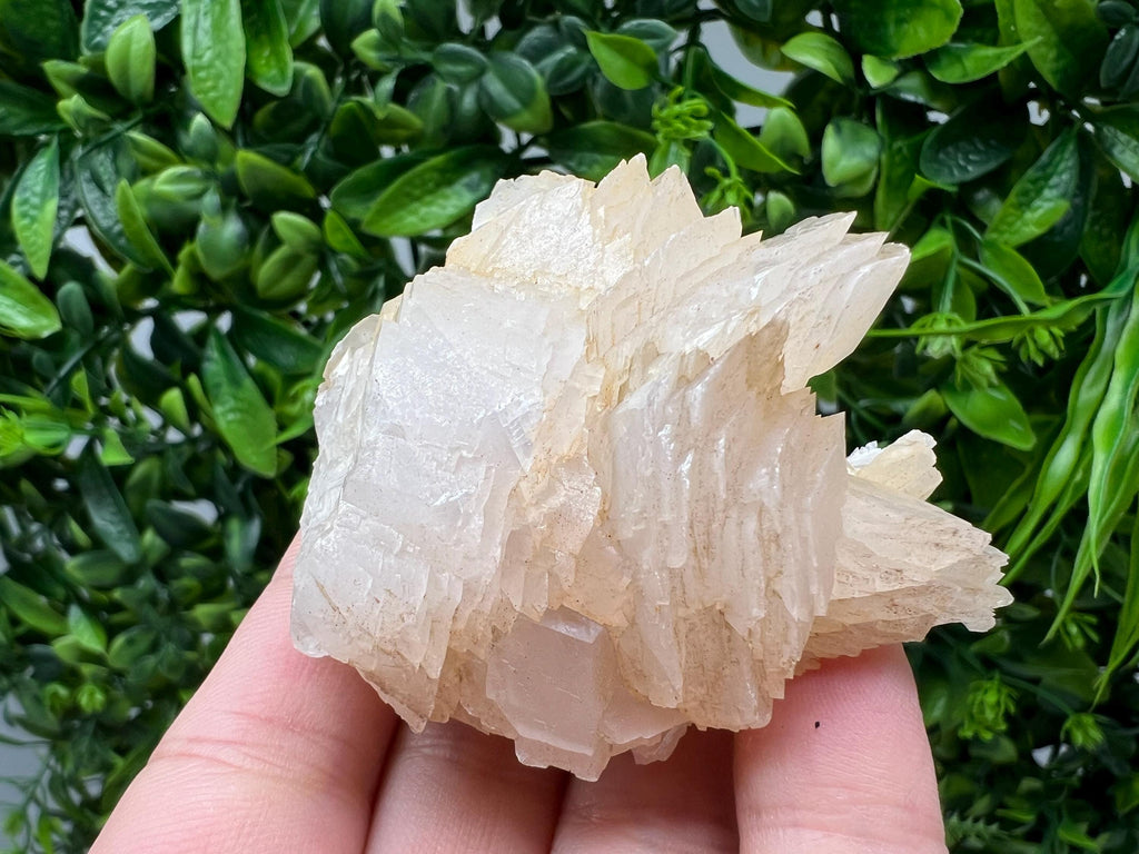 Calcite & Chlorite Crystal: Borieva Mine, Bulgaria