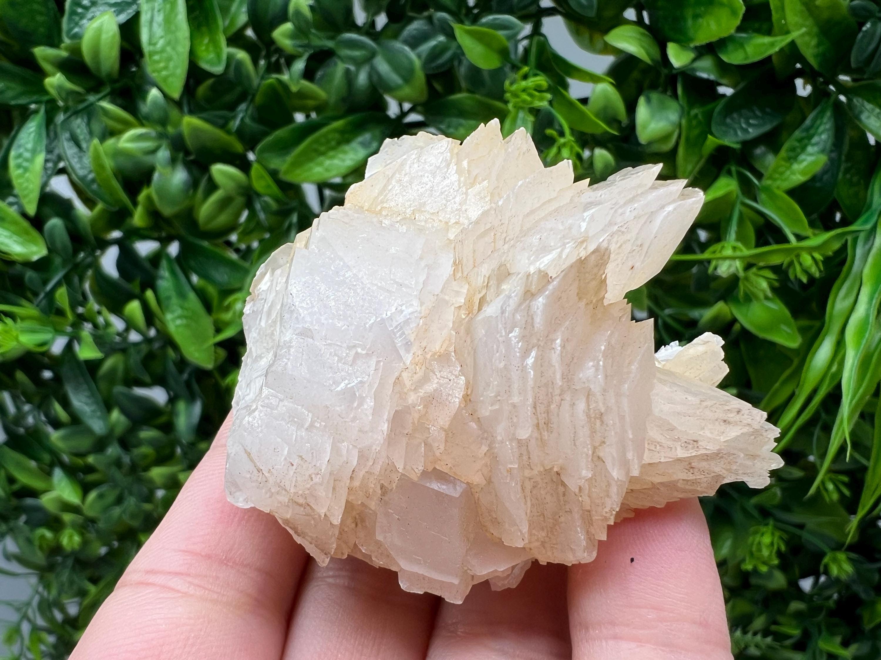 Calcite & Chlorite Crystal: Borieva Mine, Bulgaria