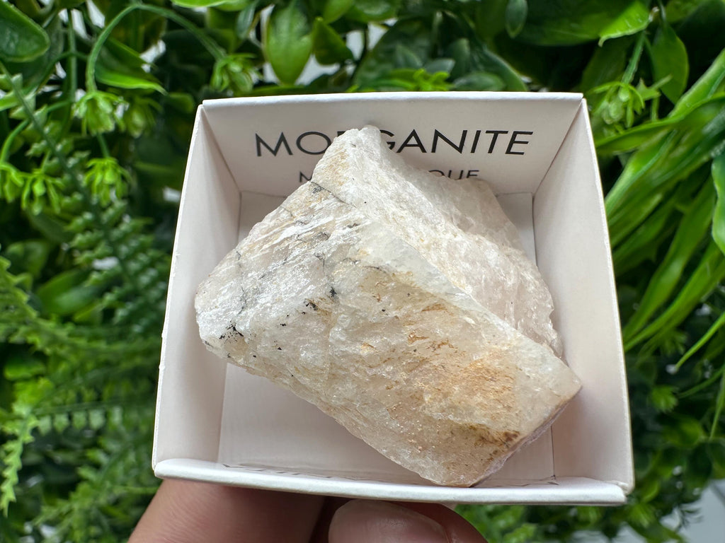 Rare Raw Morganite Crystal, Mozambique Mineral Specimen