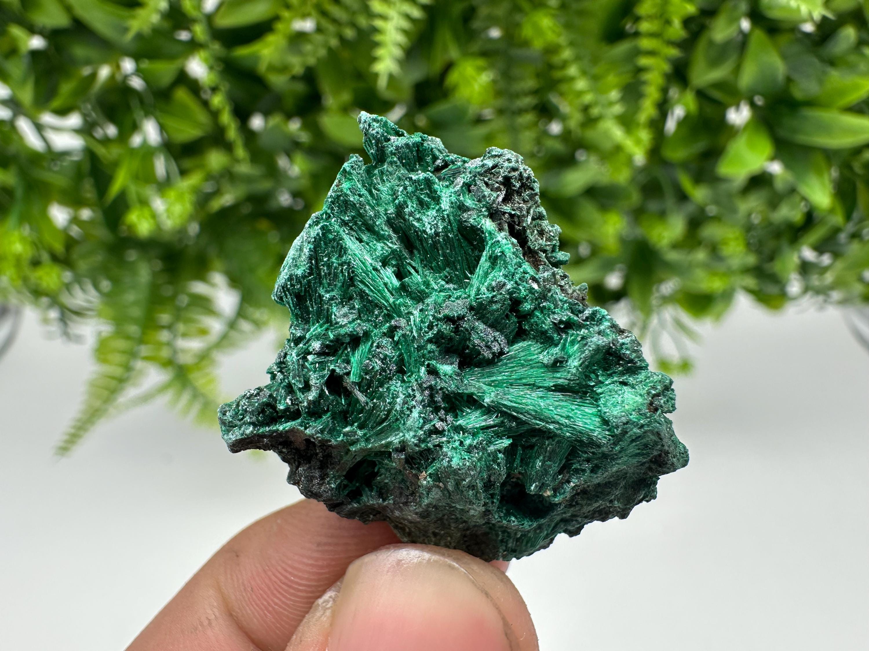 Malachite Crystal from Congo,Minerals,Crystals from Congo,Green Malachite, Malachite,Natural Malachite,Malachite Stone,Chakra, Specimens