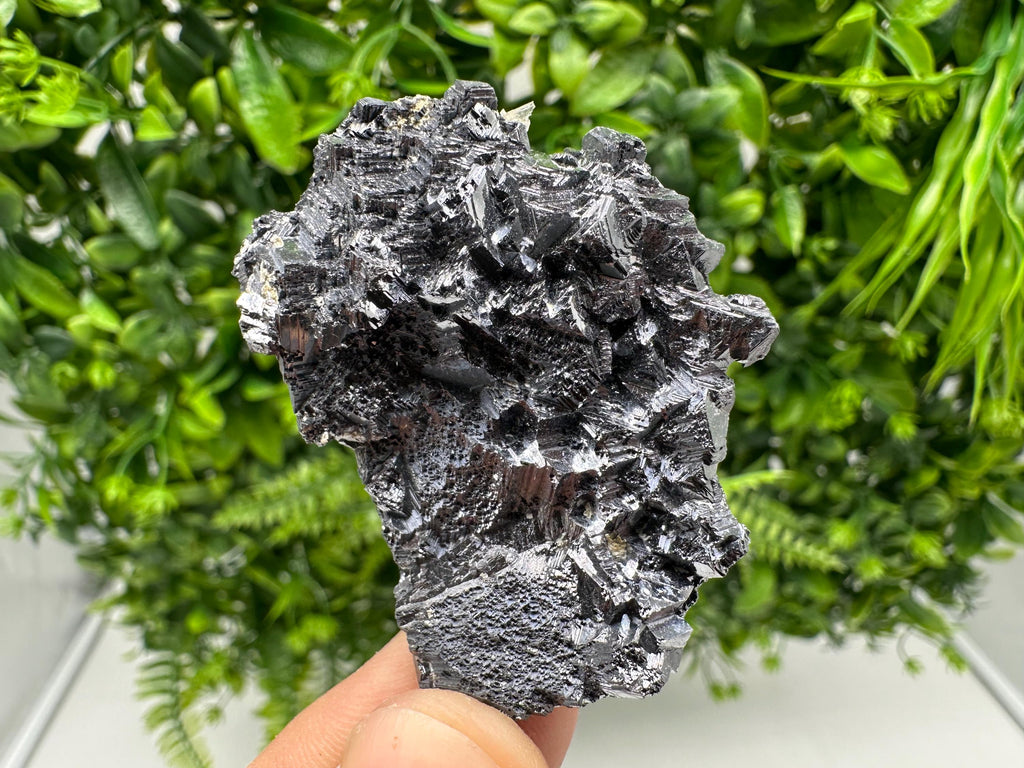 Galena Spinel Law Mineral Specimen: Krushev Dol, Bulgaria