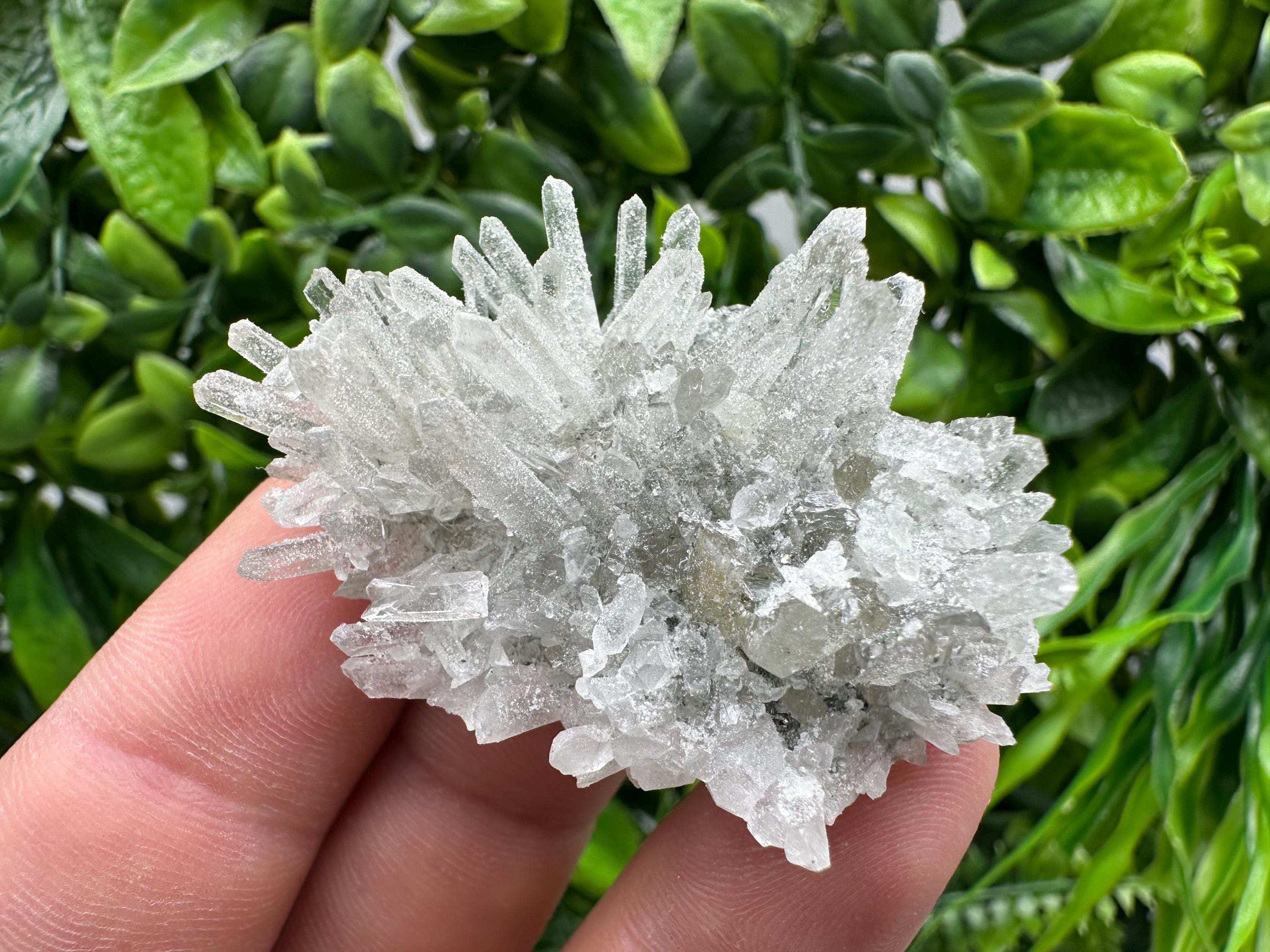 Transparent Quartz on Chlorite Matrix, Borieva Mine, Bulgaria