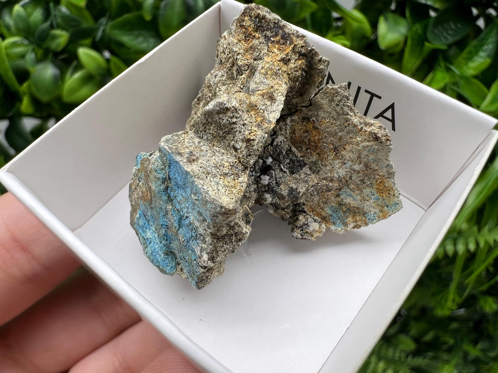 Rare Raw Aerinite Mineral Specimen: Lleida, Spain Crystal