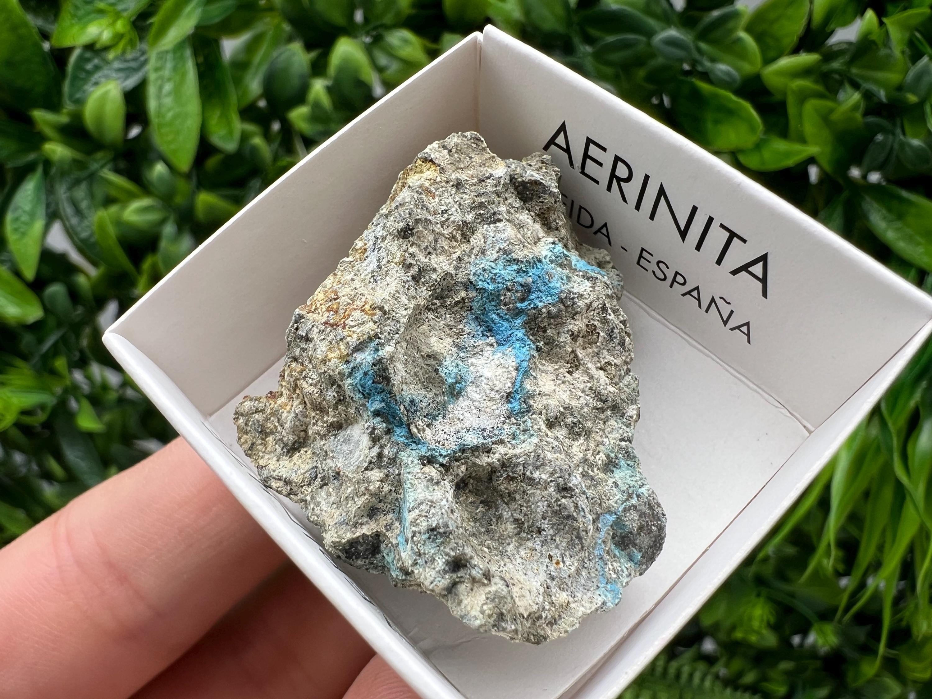 Rare Raw Aerinite Mineral Specimen: Collection Crystal from Lleida, Spain (4/3.5 CM)
