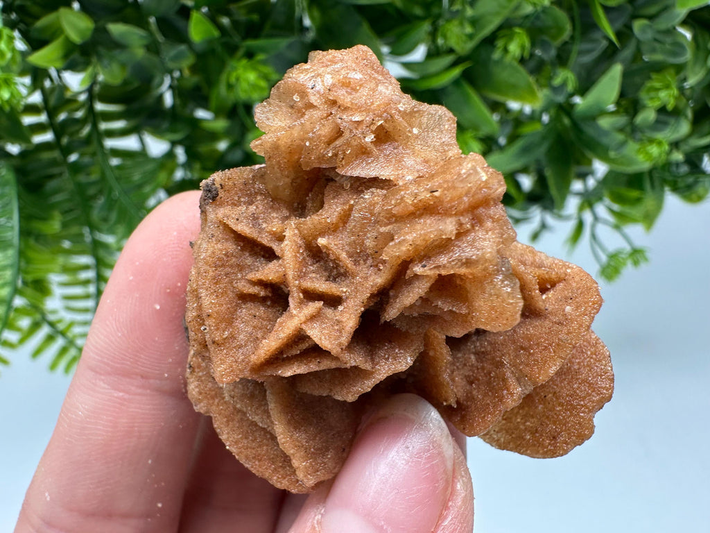 Desert Rose Crystal: Root Chakra Healing Selenite Stone