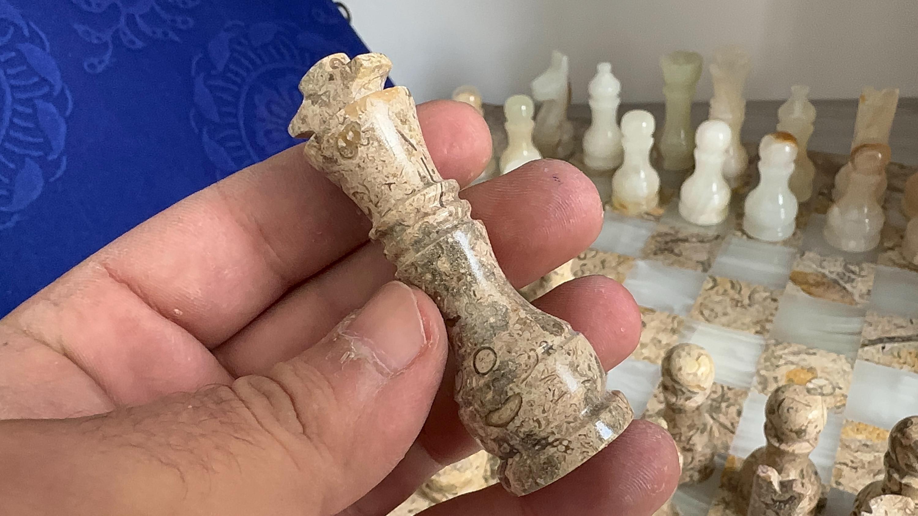 Handmade Onyx & Fossil Chess Set with Chessboard