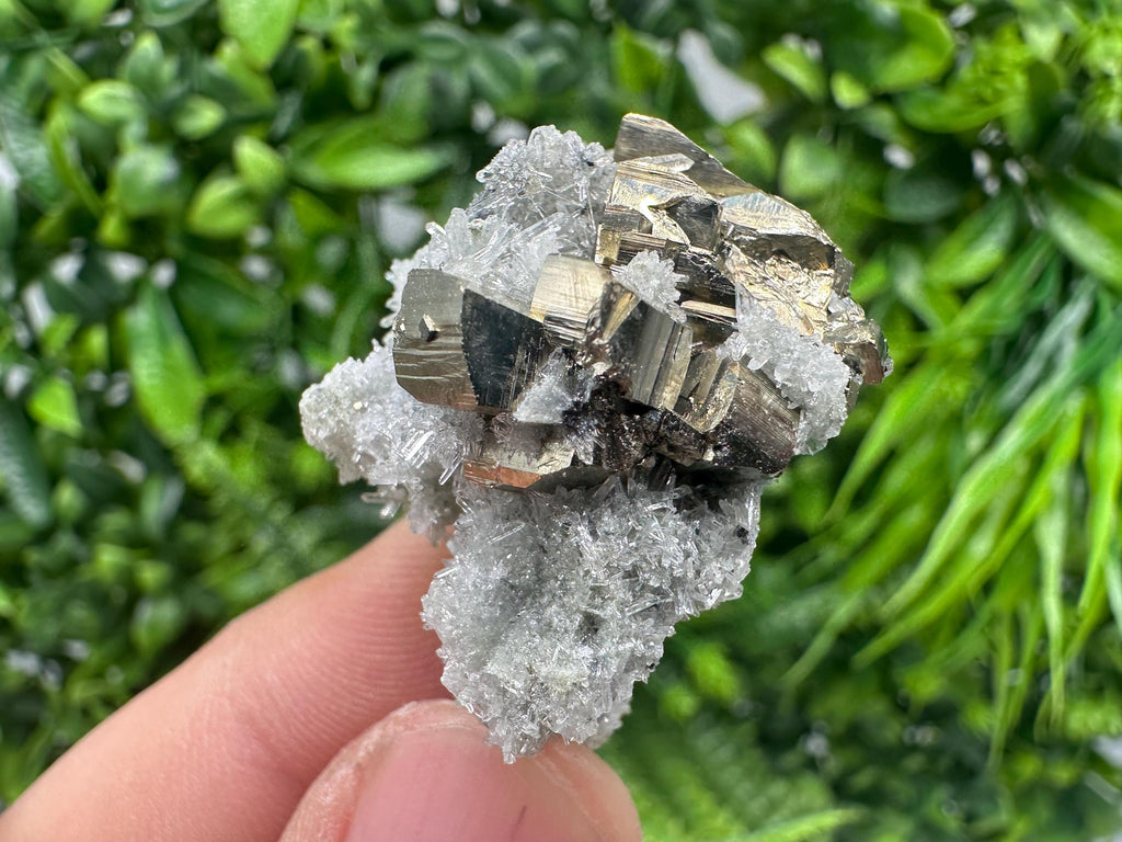 Pyrite on Green Quartz Mineral Specimen from Borieva Mine, Bulgaria
