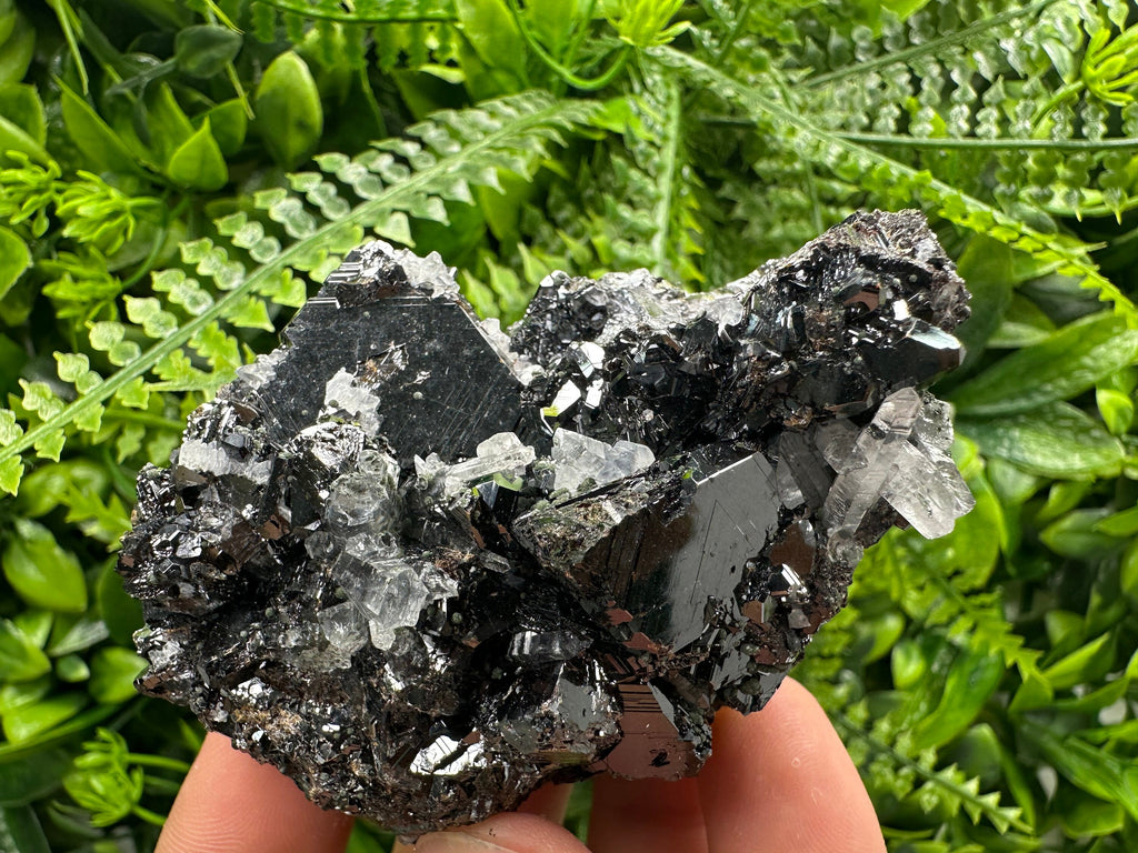 Borieva Sphalerite on Quartz: Rare Mineral Cluster