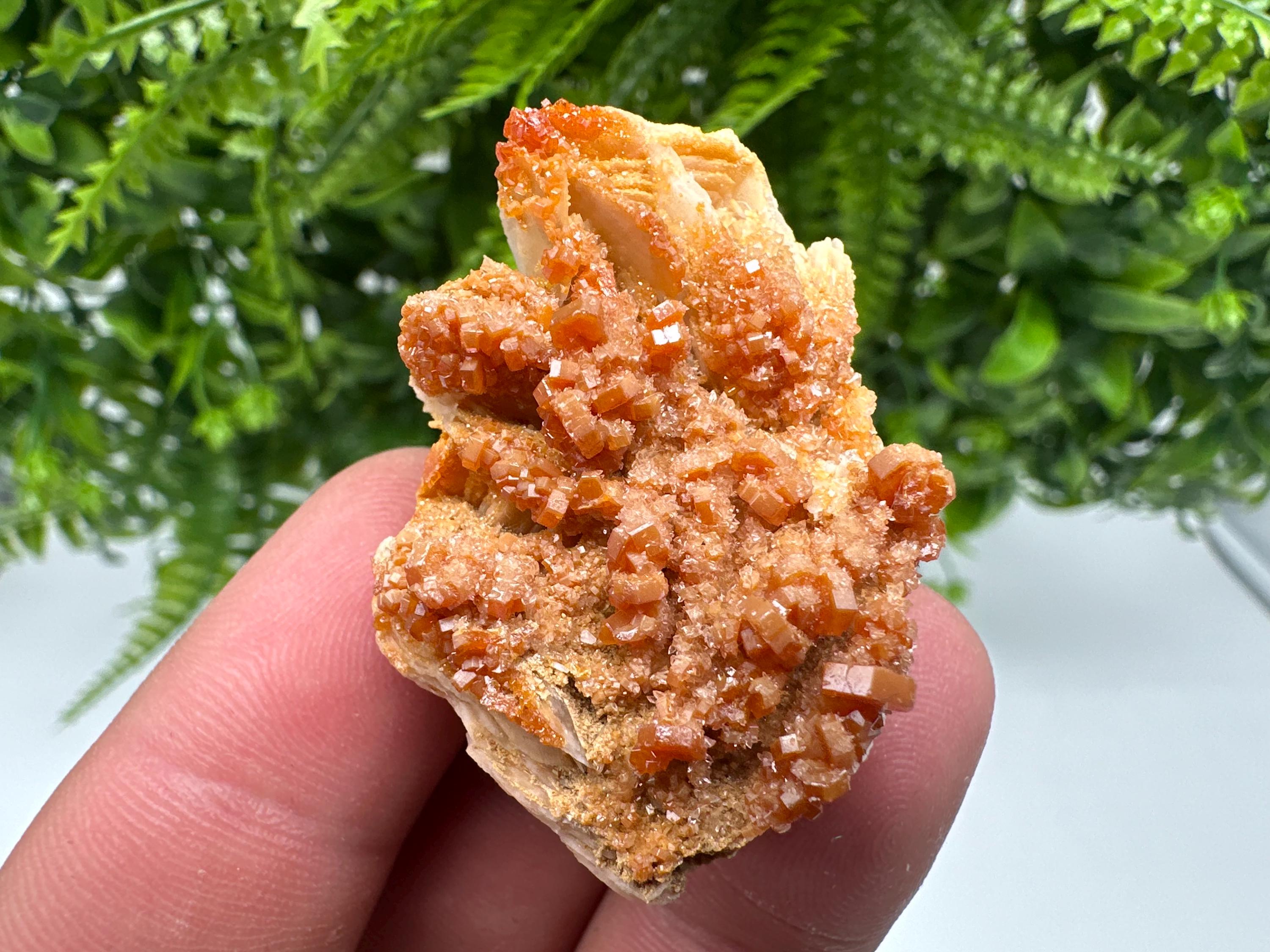 Red Vanadinite on Barite Specimen, Morocco Crystal Cluster