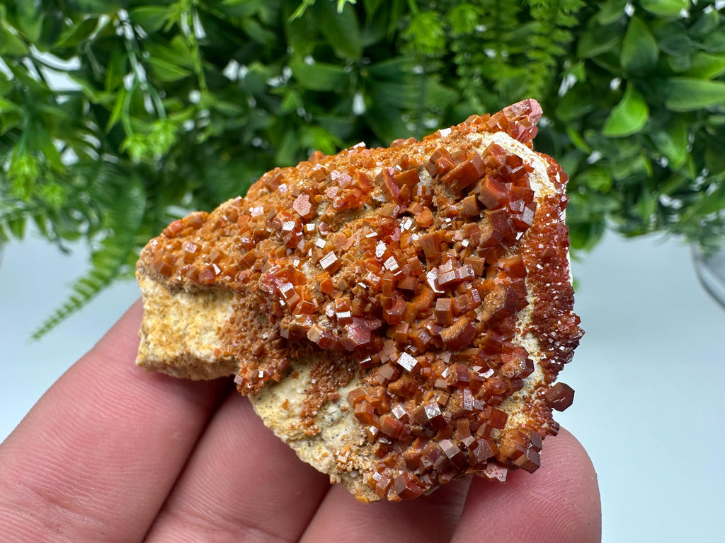 Red Vanadinite on Barite, Moroccan Crystal Mineral Specimen
