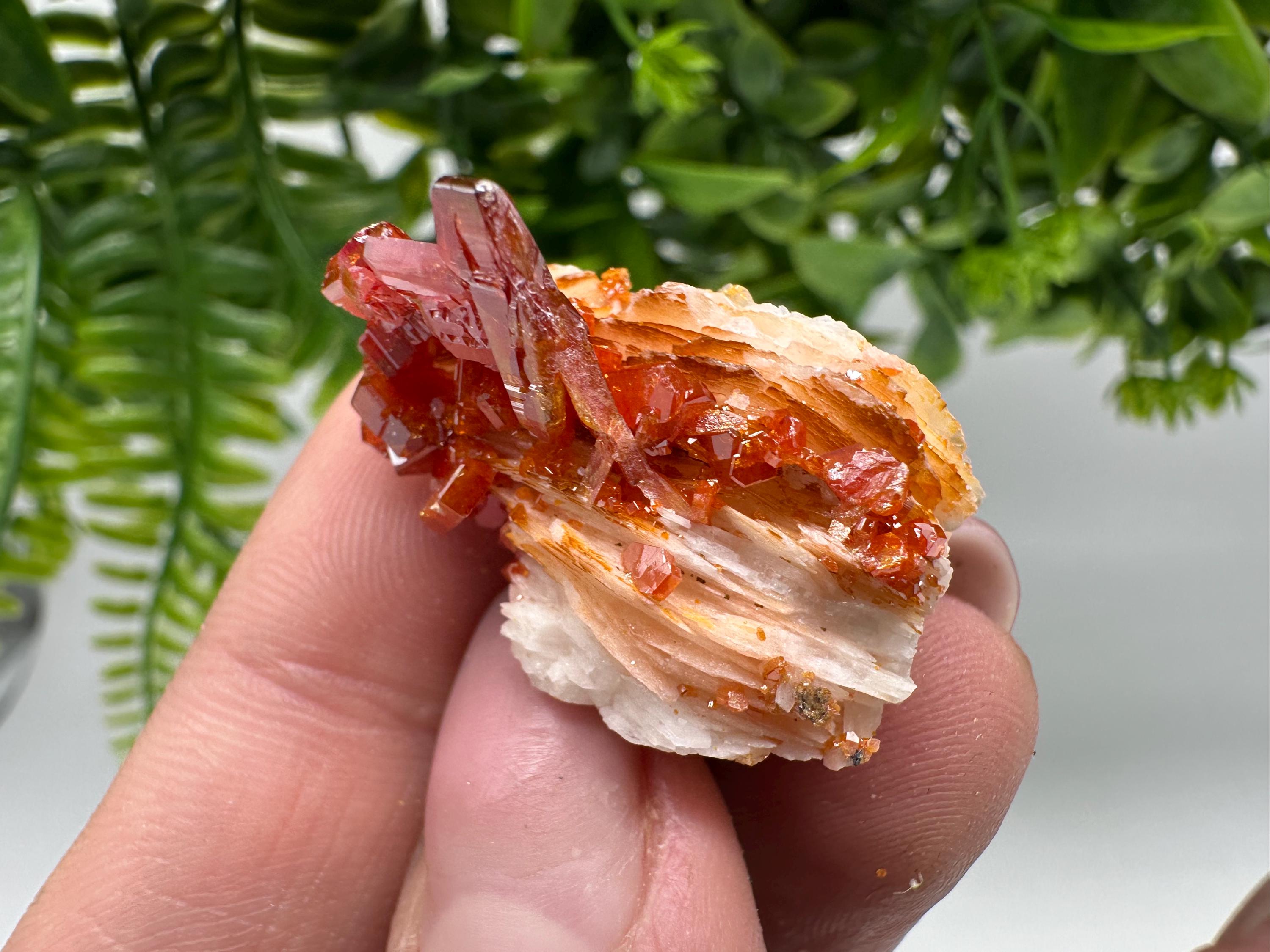 Red Vanadinite Crystal Cluster on Barite, Morocco Mineral Specimen