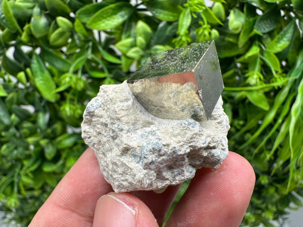 Large Pyrite Cube on Matrix, Natural Mineral Specimen, La Rioja Spain