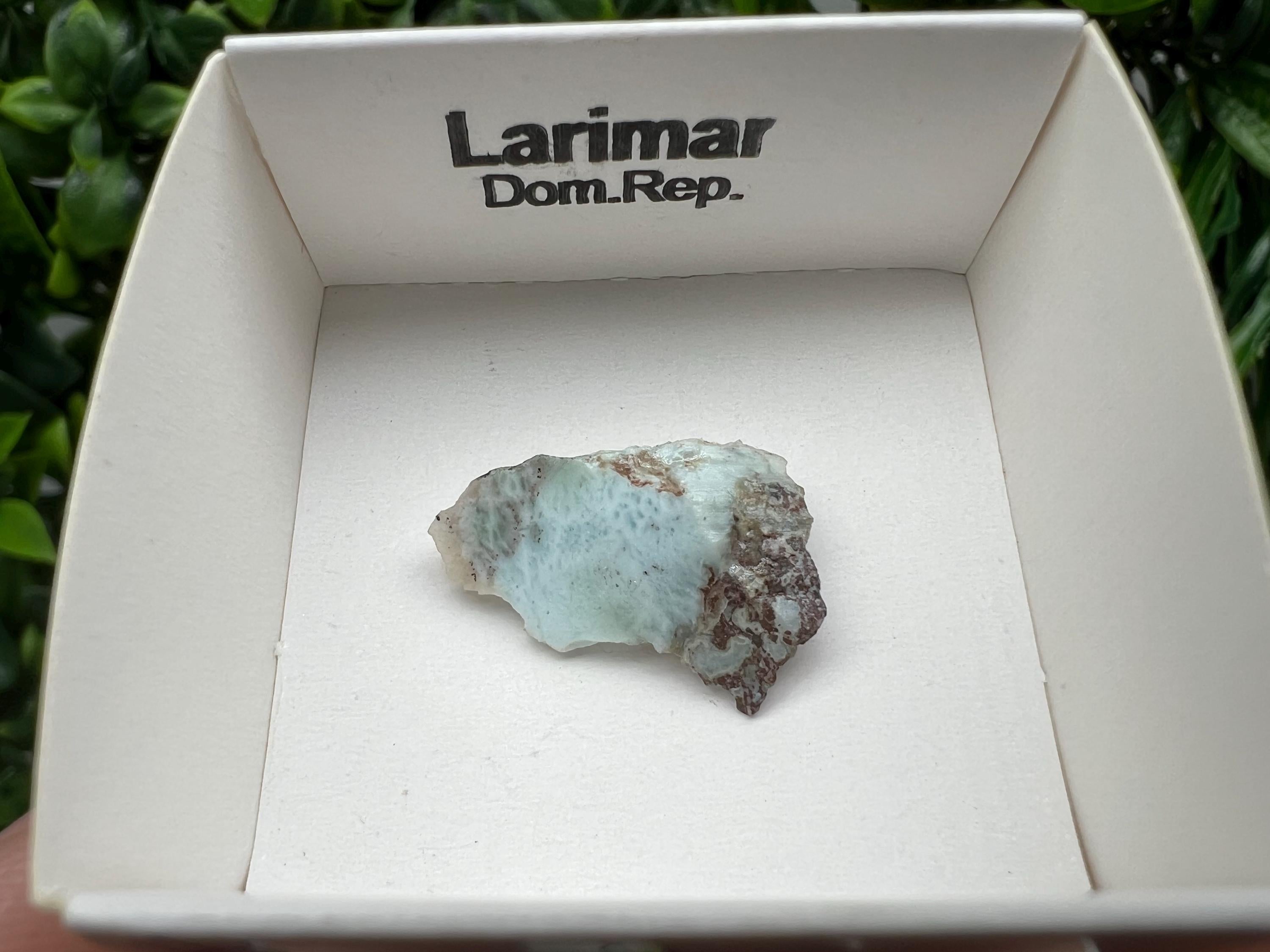 Rare Raw Larimar Specimen: Dominican Republic Crystal (25/15mm)