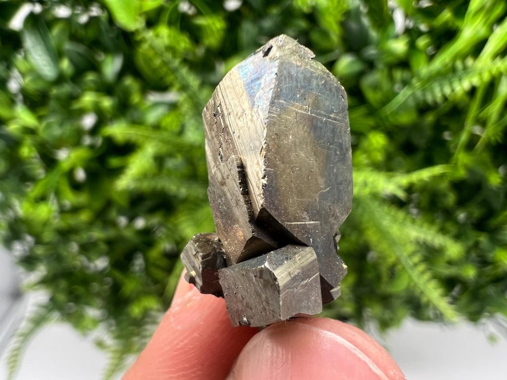 Mini Rainbow Pyrite Cluster: Borieva Mine, Bulgaria