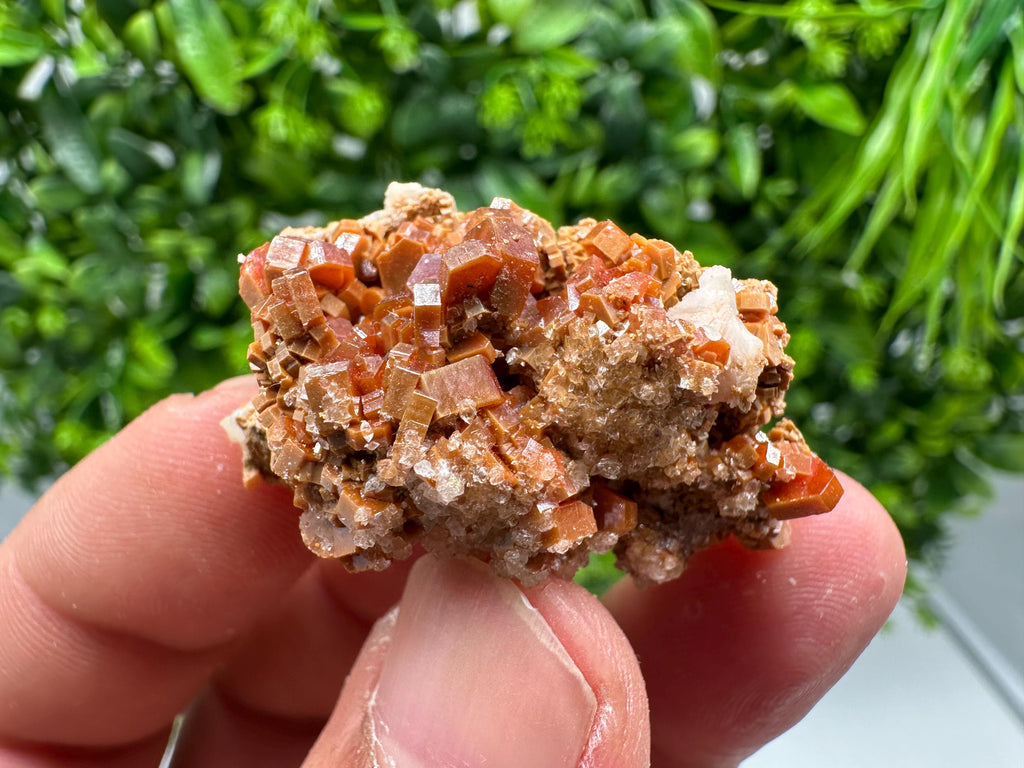 Red Vanadinite on Barite from Marocco,crystal minerals Speciment cluster Vanadinite crystal Vanadinite Geology Vanadinite cluster minerals