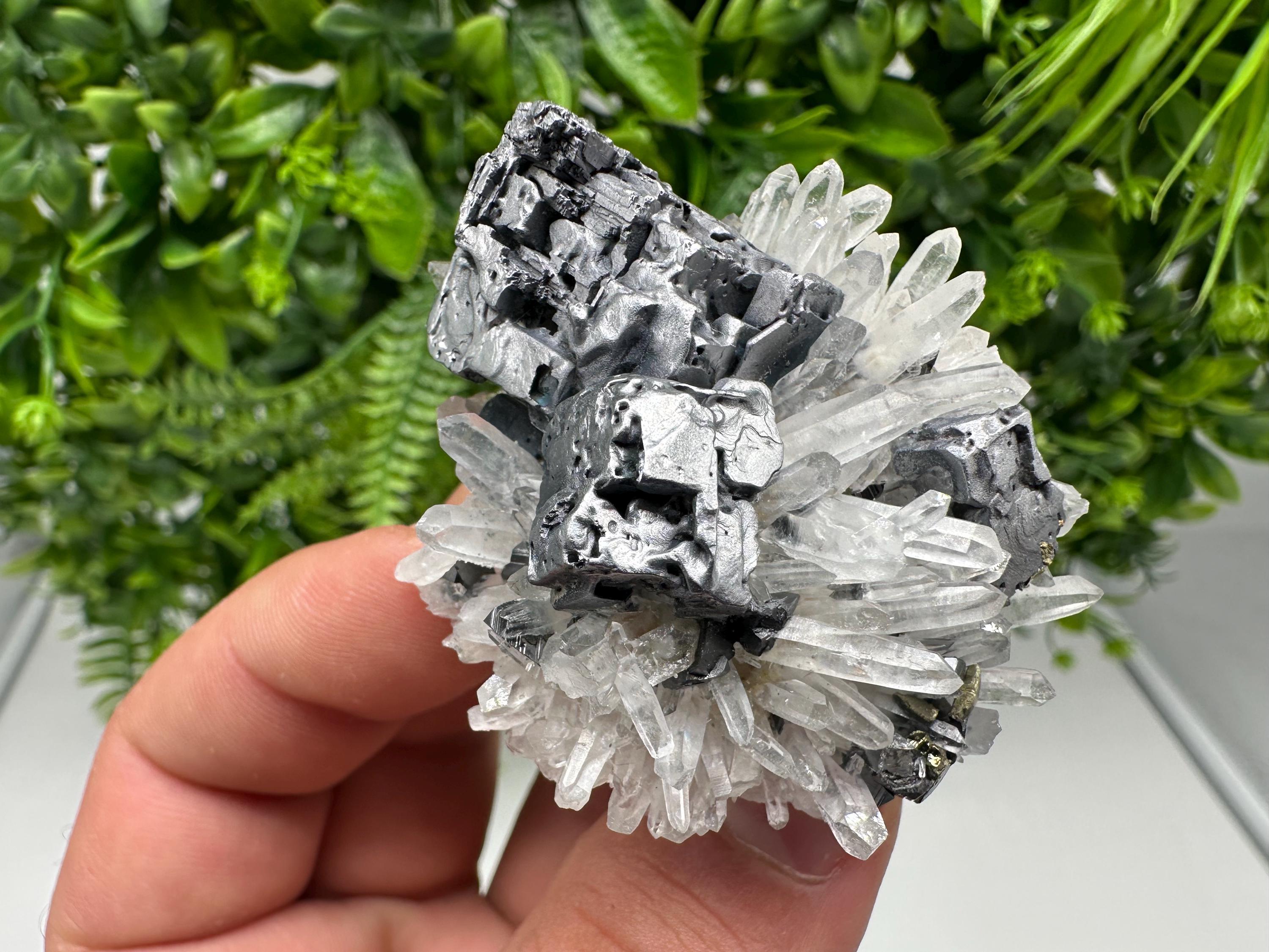 Aesthetic Natural shiny Galena whit Siderite and Quartz from 9 th September mine,Bulgaria,collection specimen,rare galena,Galena cluster
