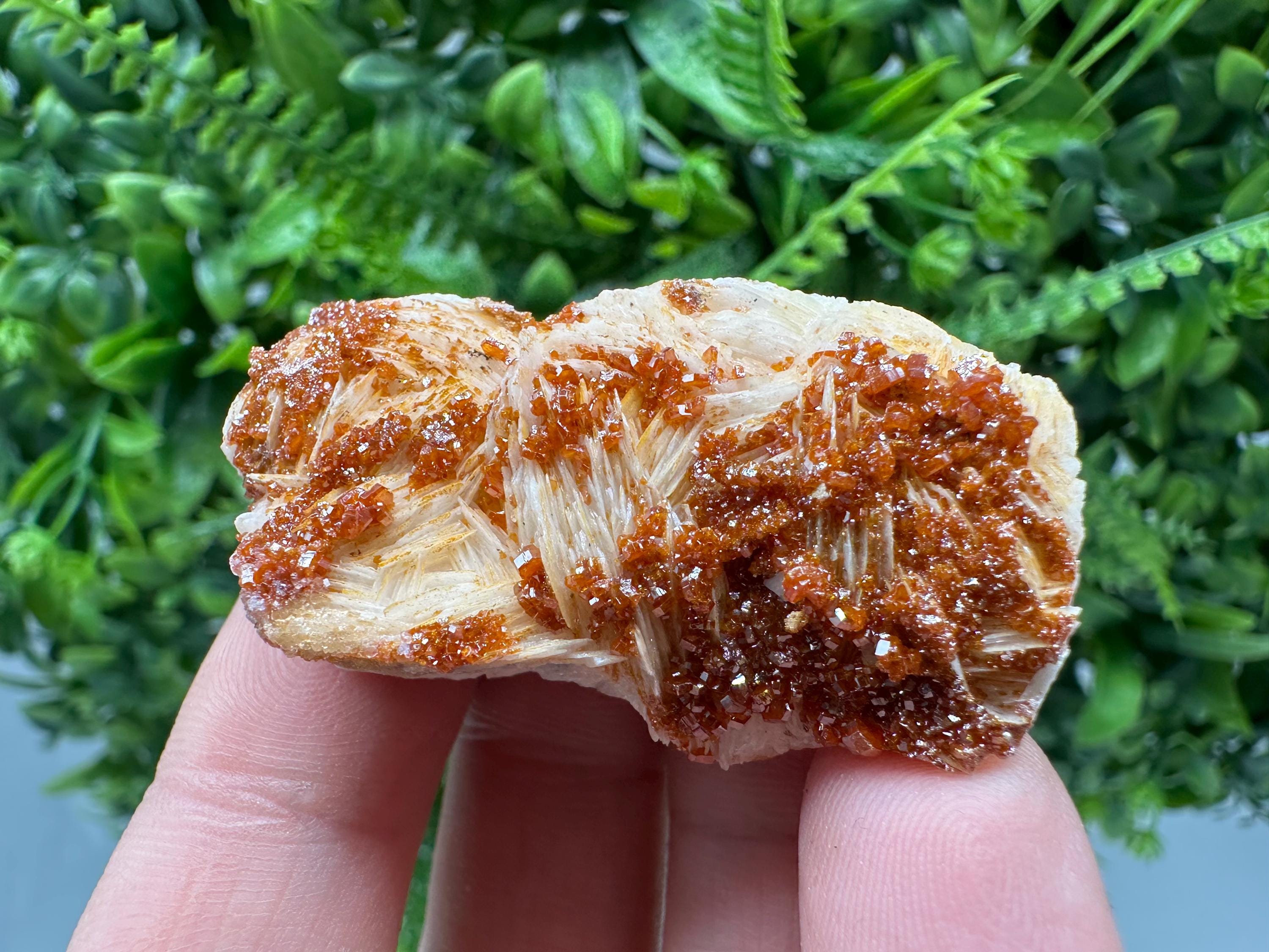 Red Vanadinite on Barite, Morocco Crystal Specimen