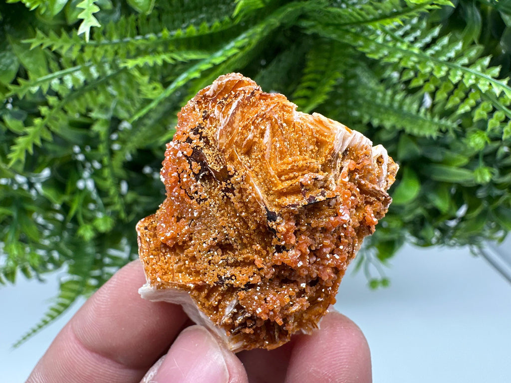 Red Vanadinite on Barite, Morocco Crystal Specimen