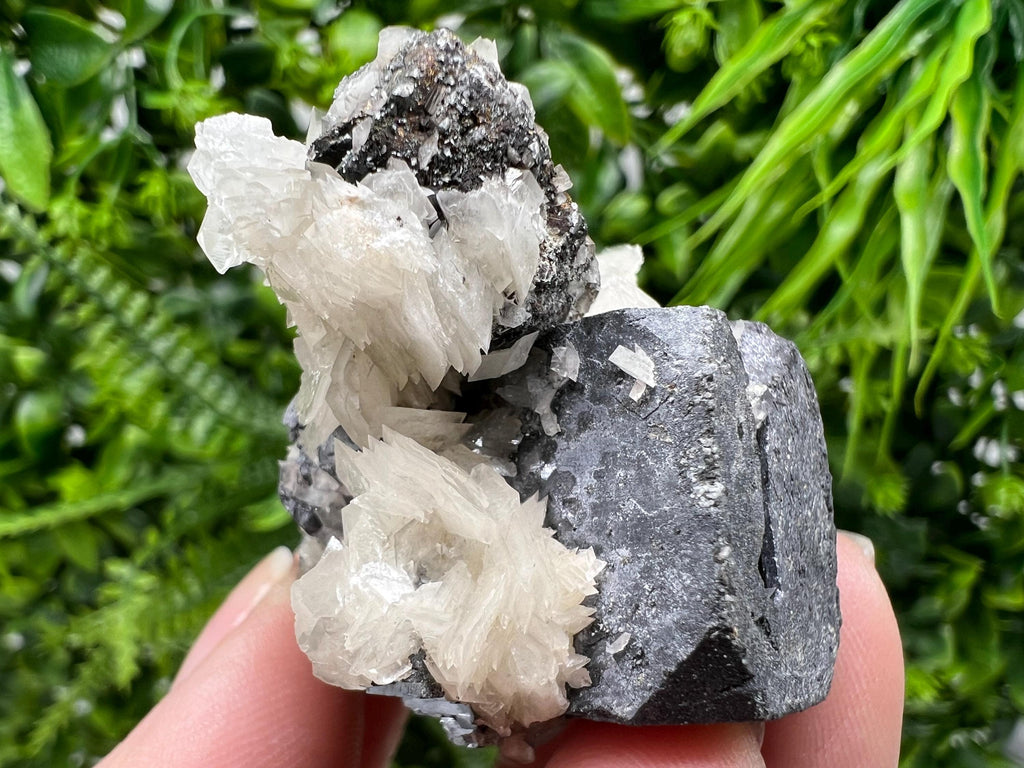 Galena spinel law on Sphalerite from Borieva mine,Madan,Bulgaria,natural,collection mineral specimen,home decor stone,rare minerals,collect