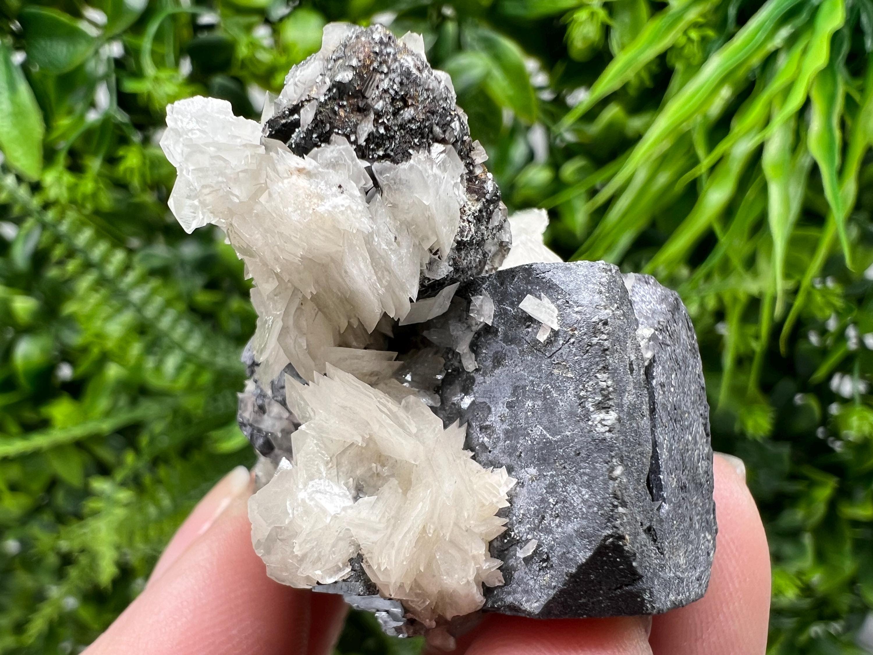 Galena spinel law on Sphalerite from Borieva mine,Madan,Bulgaria,natural,collection mineral specimen,home decor stone,rare minerals,collect