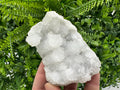 Natural Chalcedony Specimen: India Crystal Mineral, Home Decor (9/8/3.5cm)