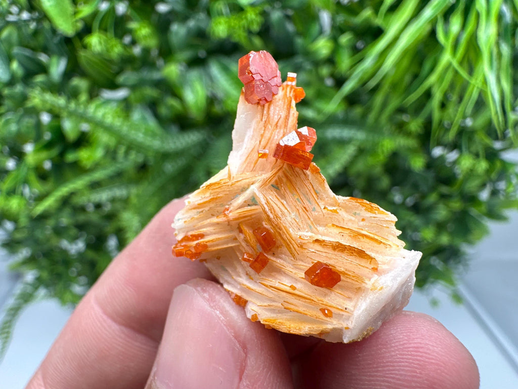Red Vanadinite on Barite from Marocco,crystal minerals Speciment cluster Vanadinite crystal Vanadinite Geology Vanadinite cluster minerals