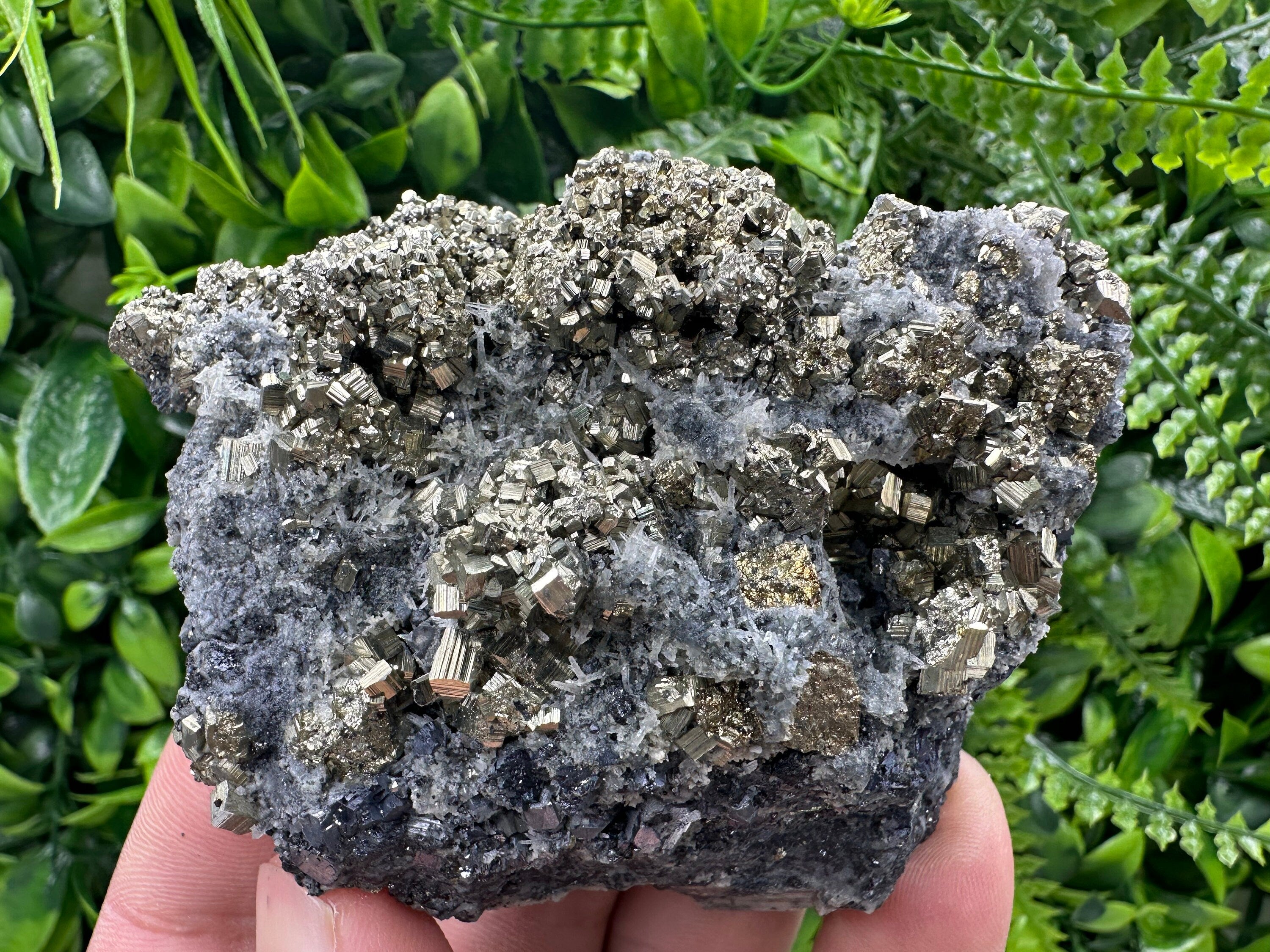 Pyrite on Quartz: Borieva Mine Crystal Decor (9/7/4.5cm)