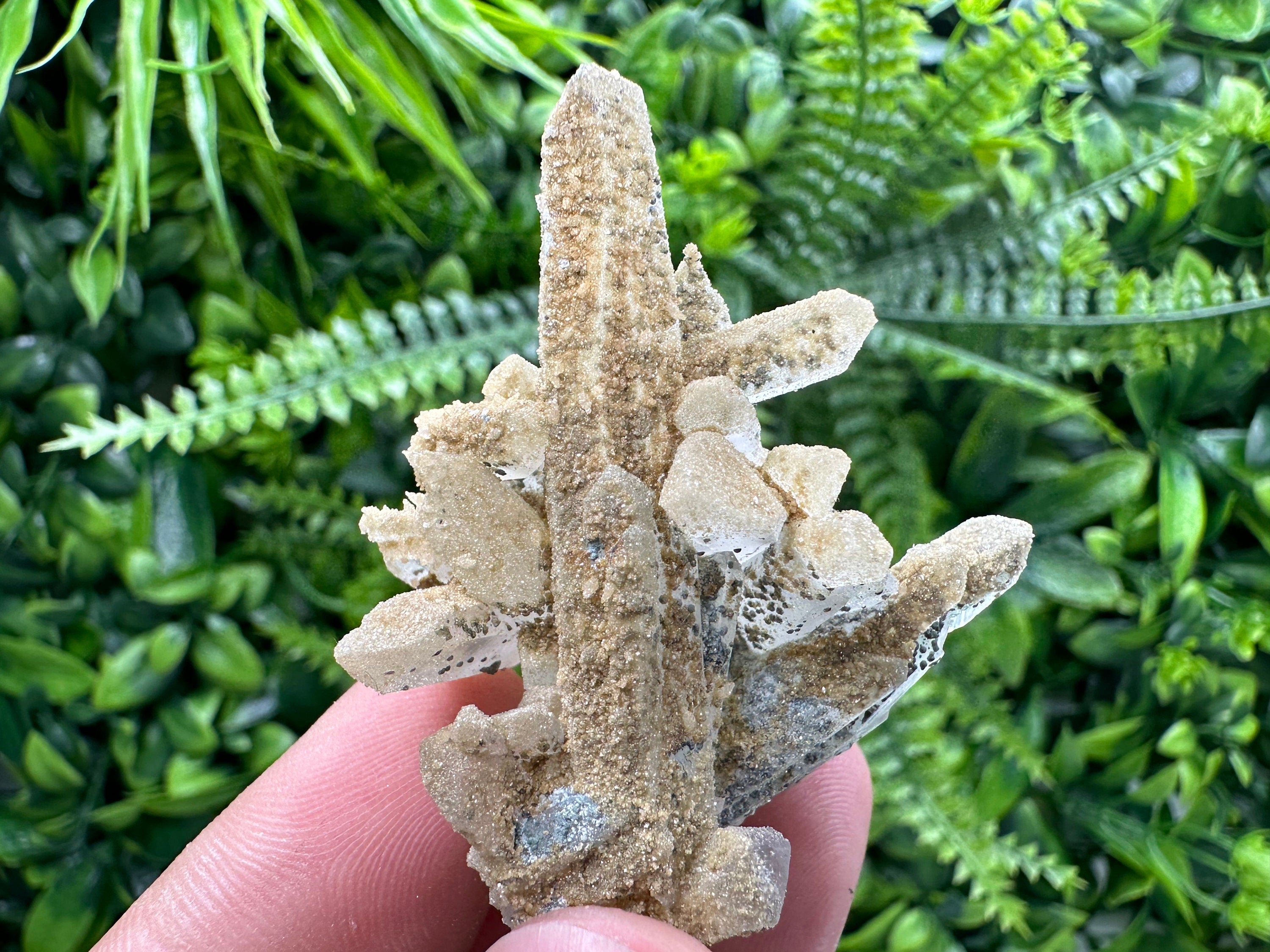 Quartz Rhodochrosite Cluster, Djurcovo Mine Mineral Specimen