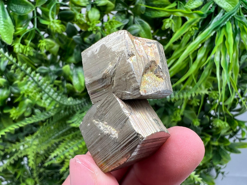 Rare Mini Pyrite Cluster: Borieva Mine, Bulgaria