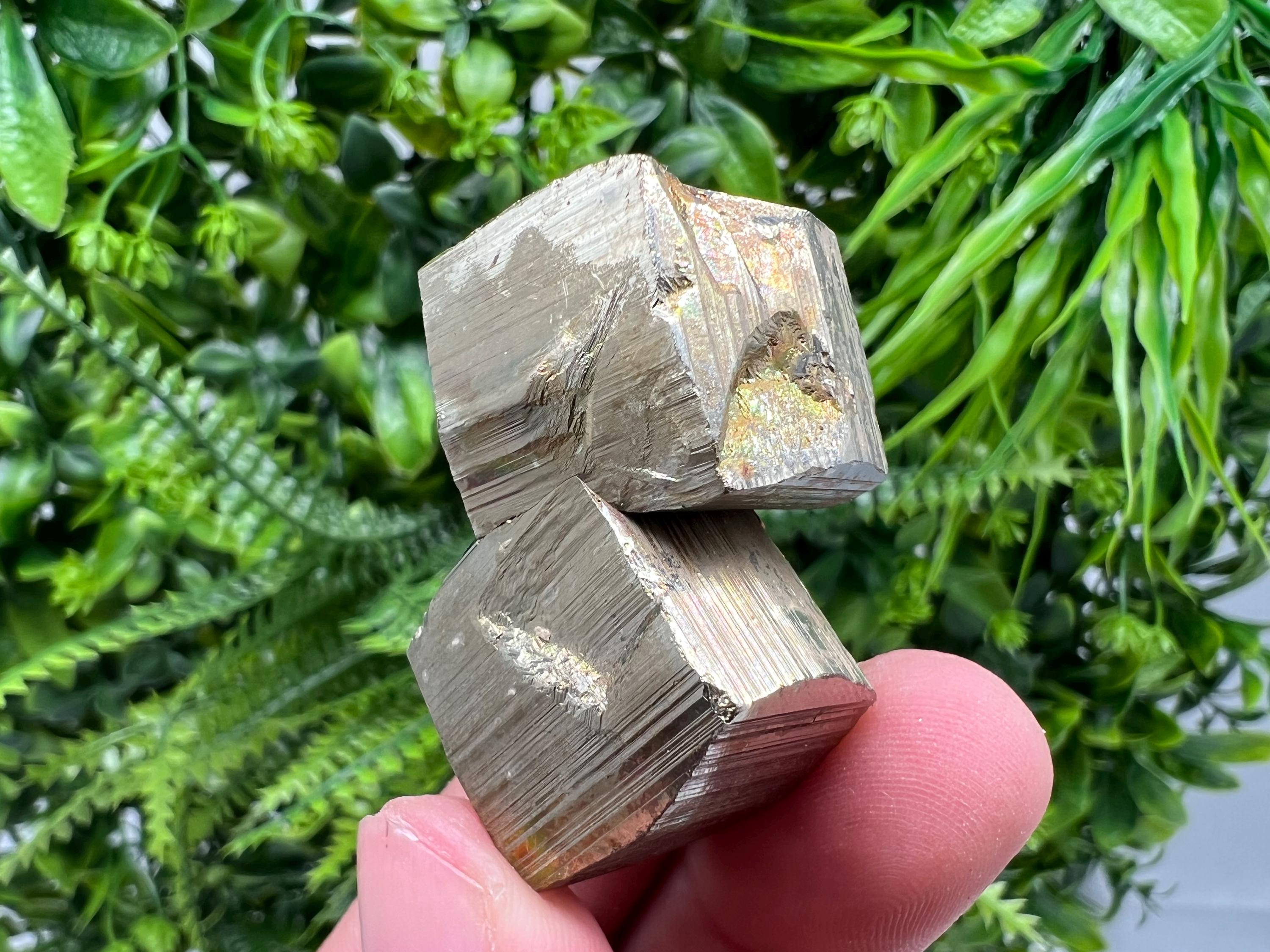 Rare Mini Pyrite Cluster: Borieva Mine, Bulgaria