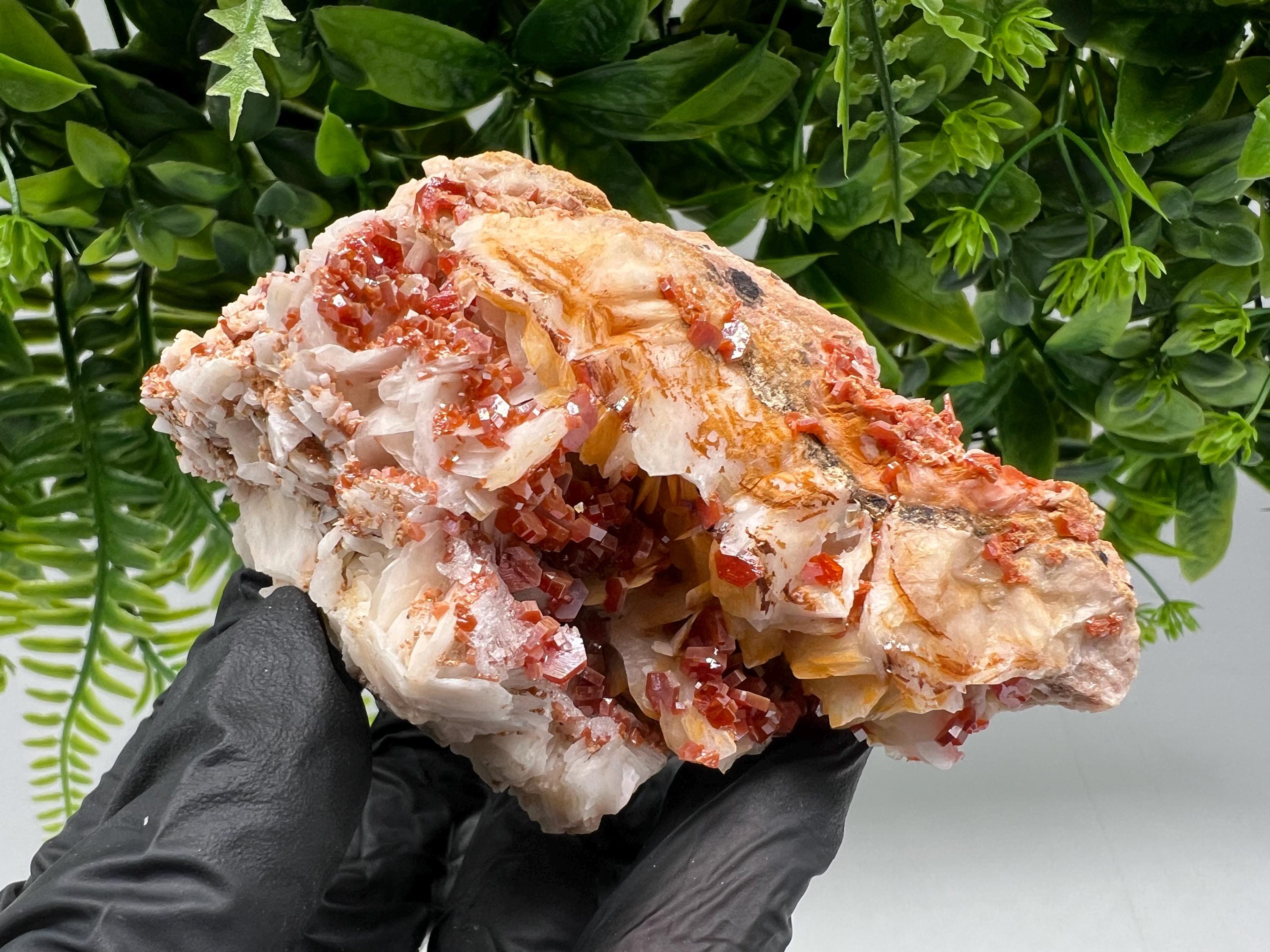Red Vanadinite on Barite from Marocco,crystal minerals Speciment cluster Vanadinite crystal Vanadinite Geology Vanadinite cluster minerals
