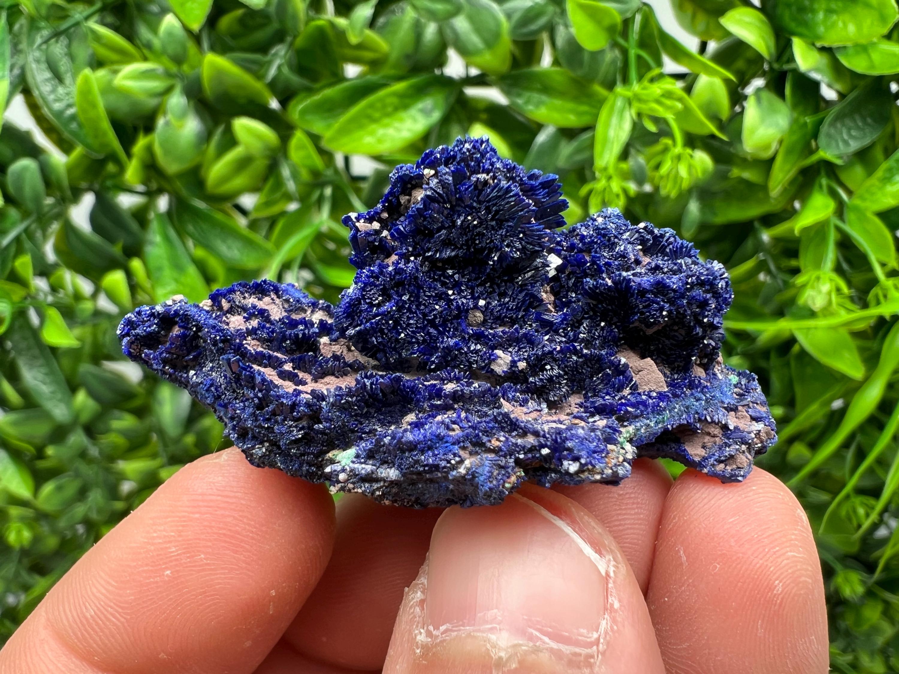 Crystallized Azurite-Kerrouchen,Morocco-Blue Azurite Specimen-High Quality Blue Azurite-Azurite Mineral Specimen, gemmy,lustrous of Azurite