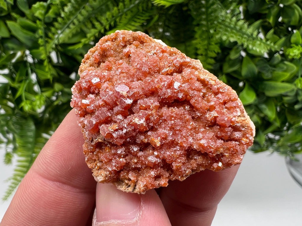 Red Vanadinite on Barite from Marocco,crystal minerals Speciment cluster Vanadinite crystal Vanadinite Geology Vanadinite cluster minerals