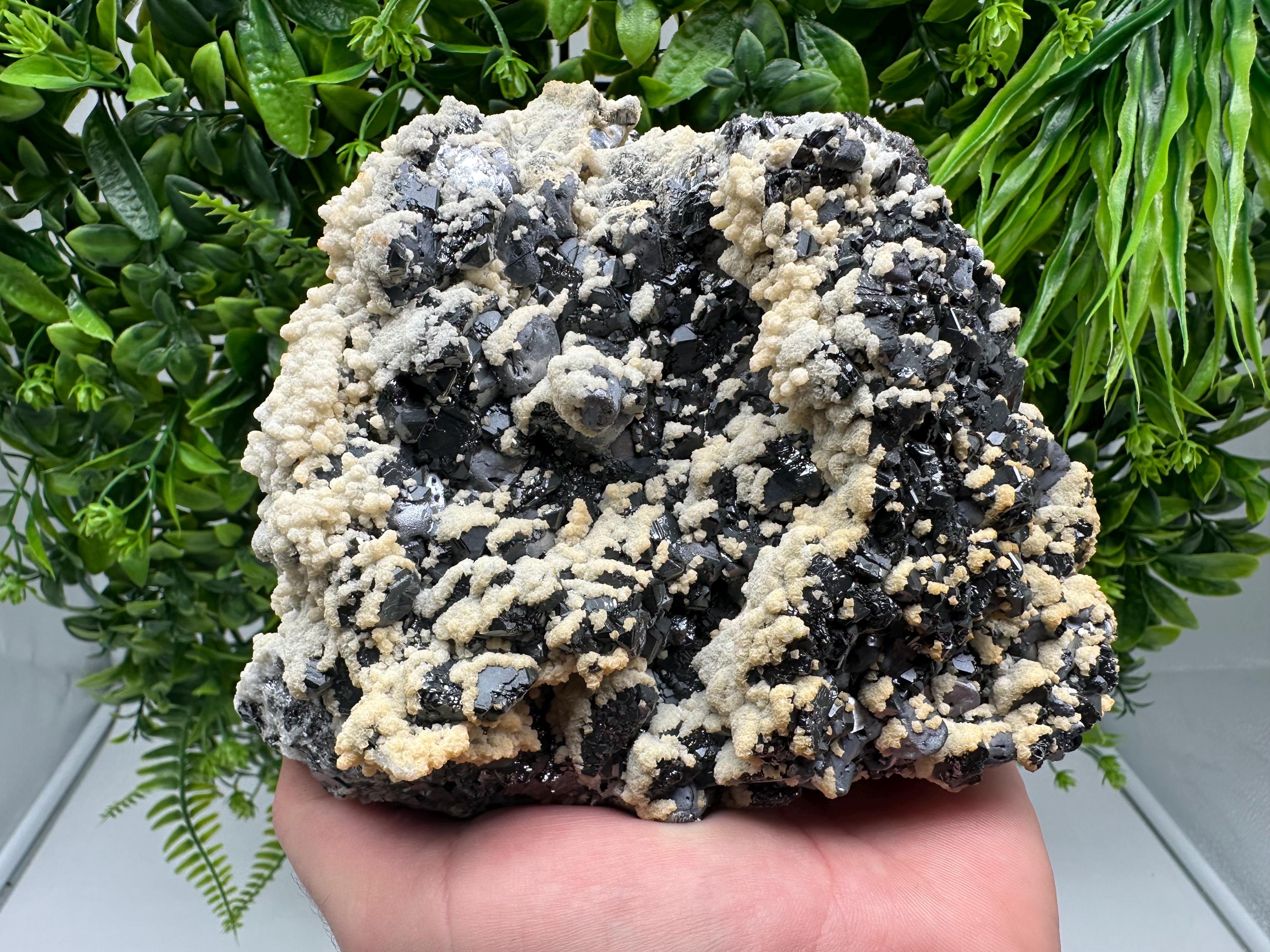 Galena Dolomite Cluster, Krushev dol Bulgaria Mineral Specimen