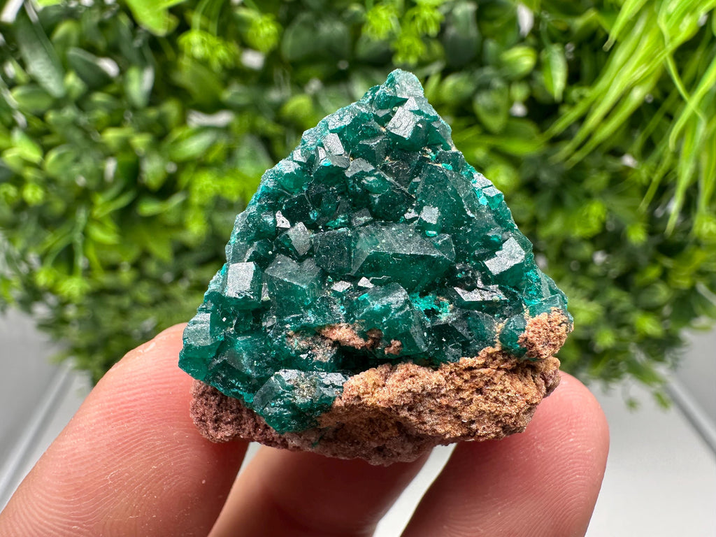 Stunning Green Dioptase from Sanda Hills,Mindouli,Pool Department,Mindouli District,Congo,green Dioptase,Dioptas Crystal,Dioptase collecting