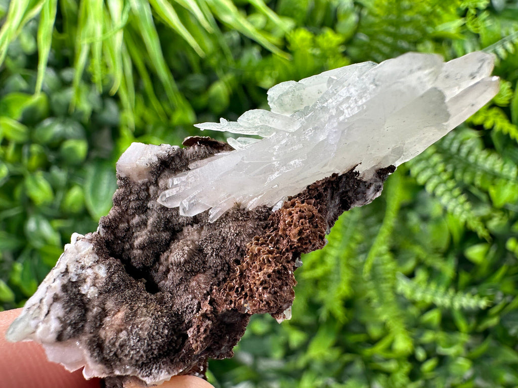 Quartz with Chlorite on Rhodochrosite and Siderite Mineral Specimen