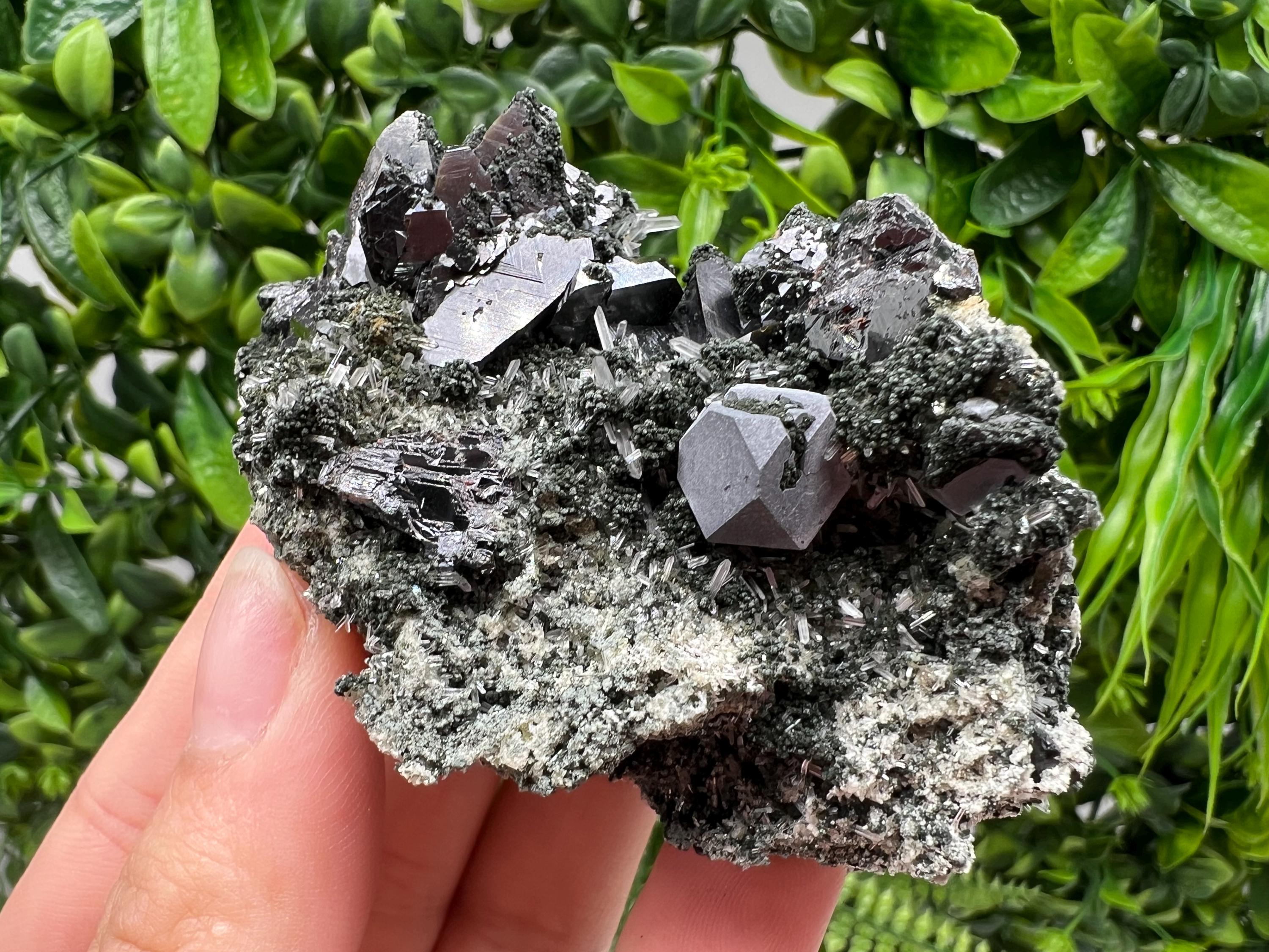 Sphalerite Galena Crystal: Chlorite Mineral Specimen, Bulgaria