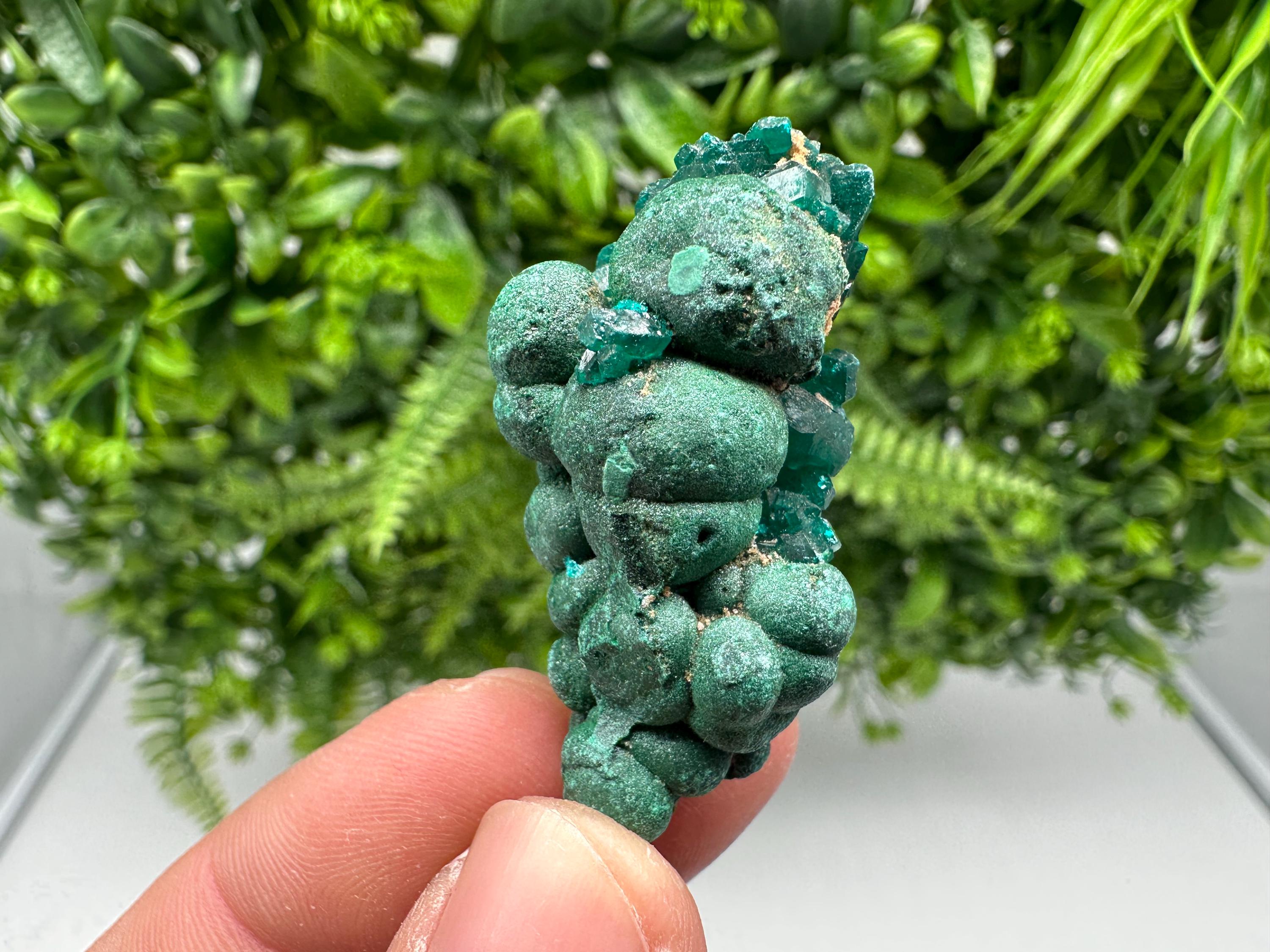 Stunning Green Dioptase from Sanda Hills,Mindouli,Pool Department,Mindouli District,Congo,green Dioptase,Dioptas Crystal,Dioptase collecting