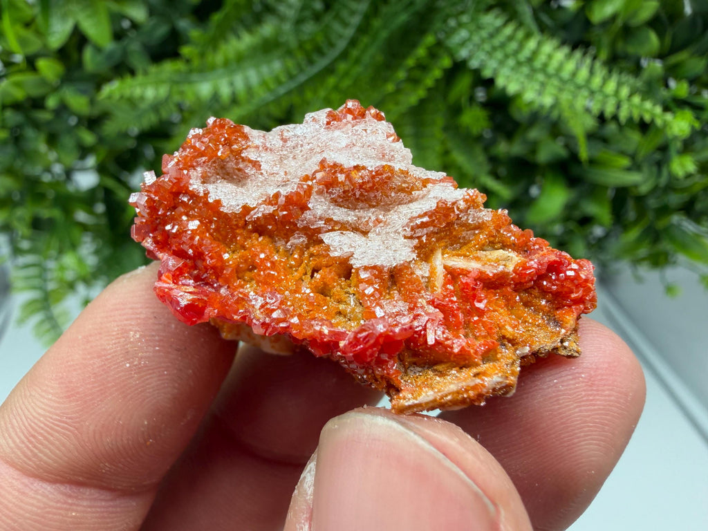 Red Vanadinite Crystal Cluster on Barite, Morocco Mineral Specimen