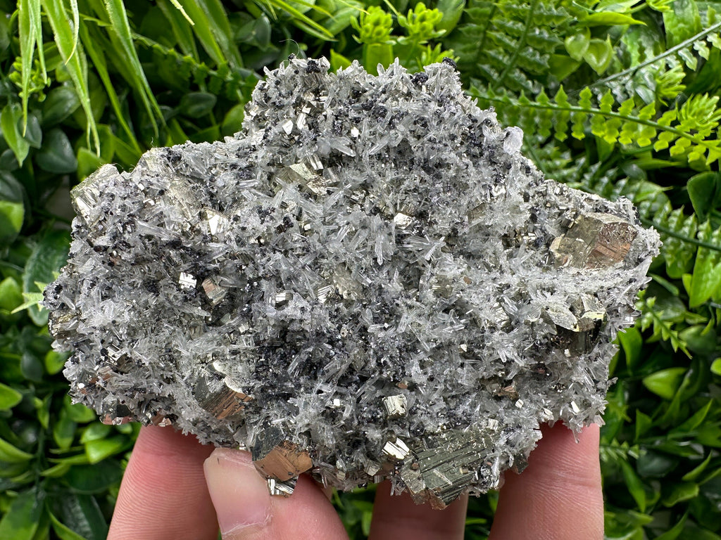Pyrite on Quartz Needles: Borieva Mine Bulgaria Crystal Decor