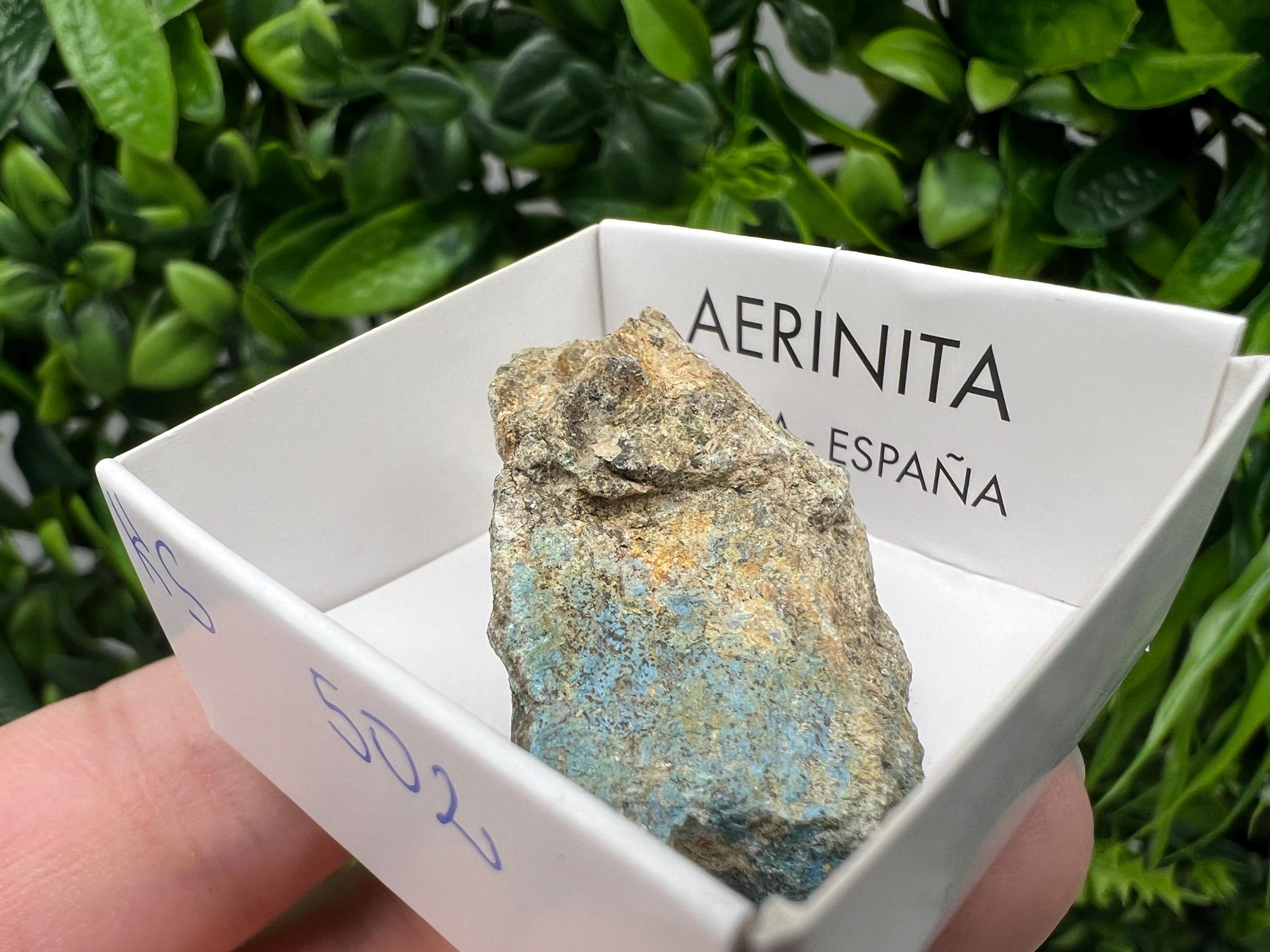 Rare Raw Aerinite Mineral Specimen: Lleida Spain Crystal, 4/2.5cm