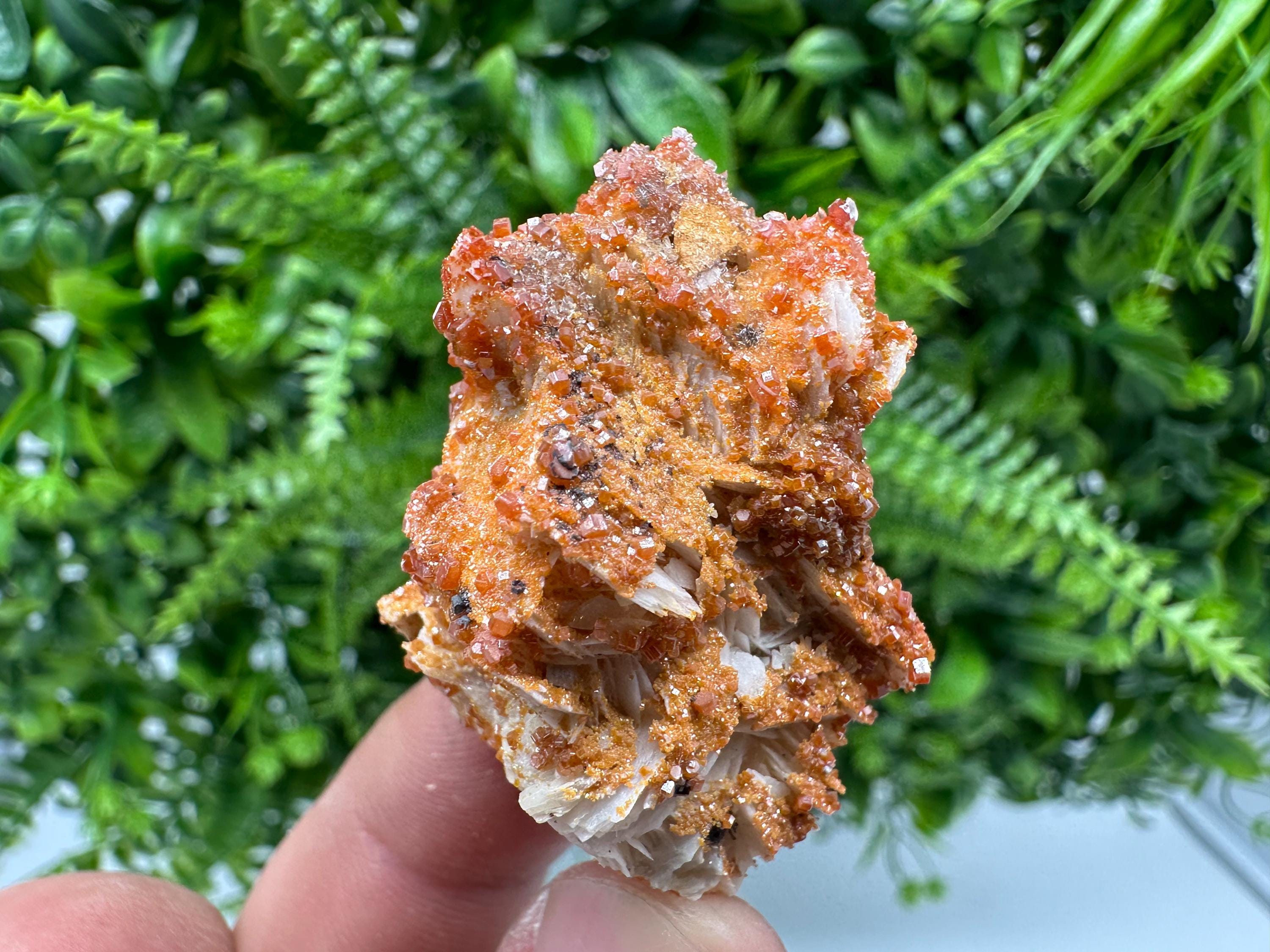 Red Vanadinite Crystal Cluster on Matrix, Morocco Mineral Specimen
