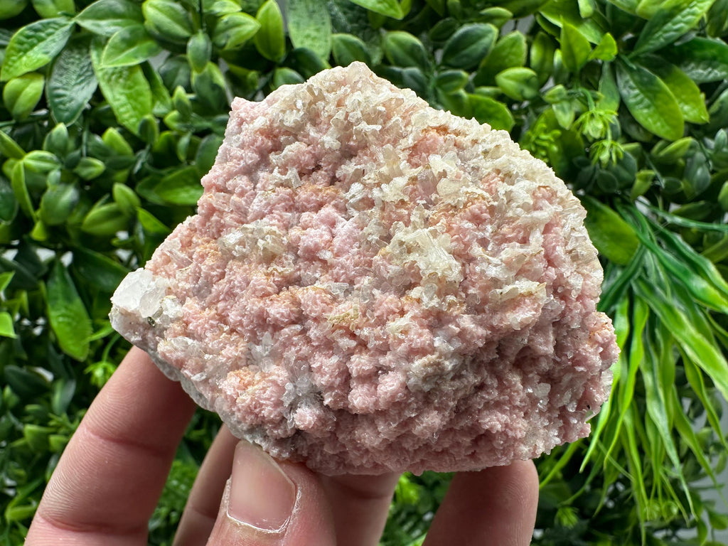 Rhodochrosite on Quartz, Starnica Mine, Bulgaria