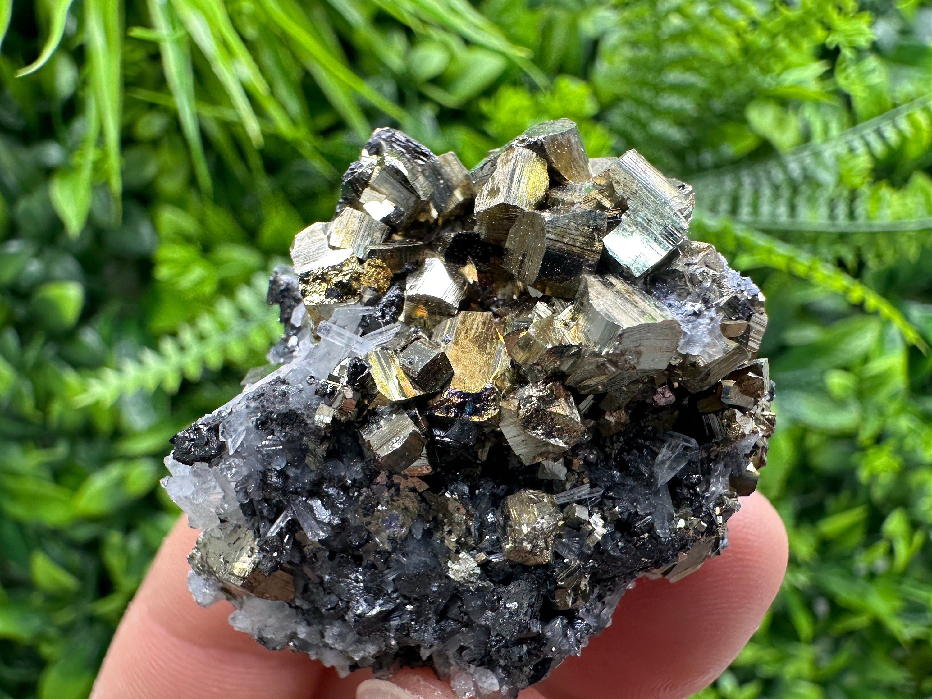 Rainbow Pyrite on Sphalerite & Quartz, Borieva Mine, Bulgaria